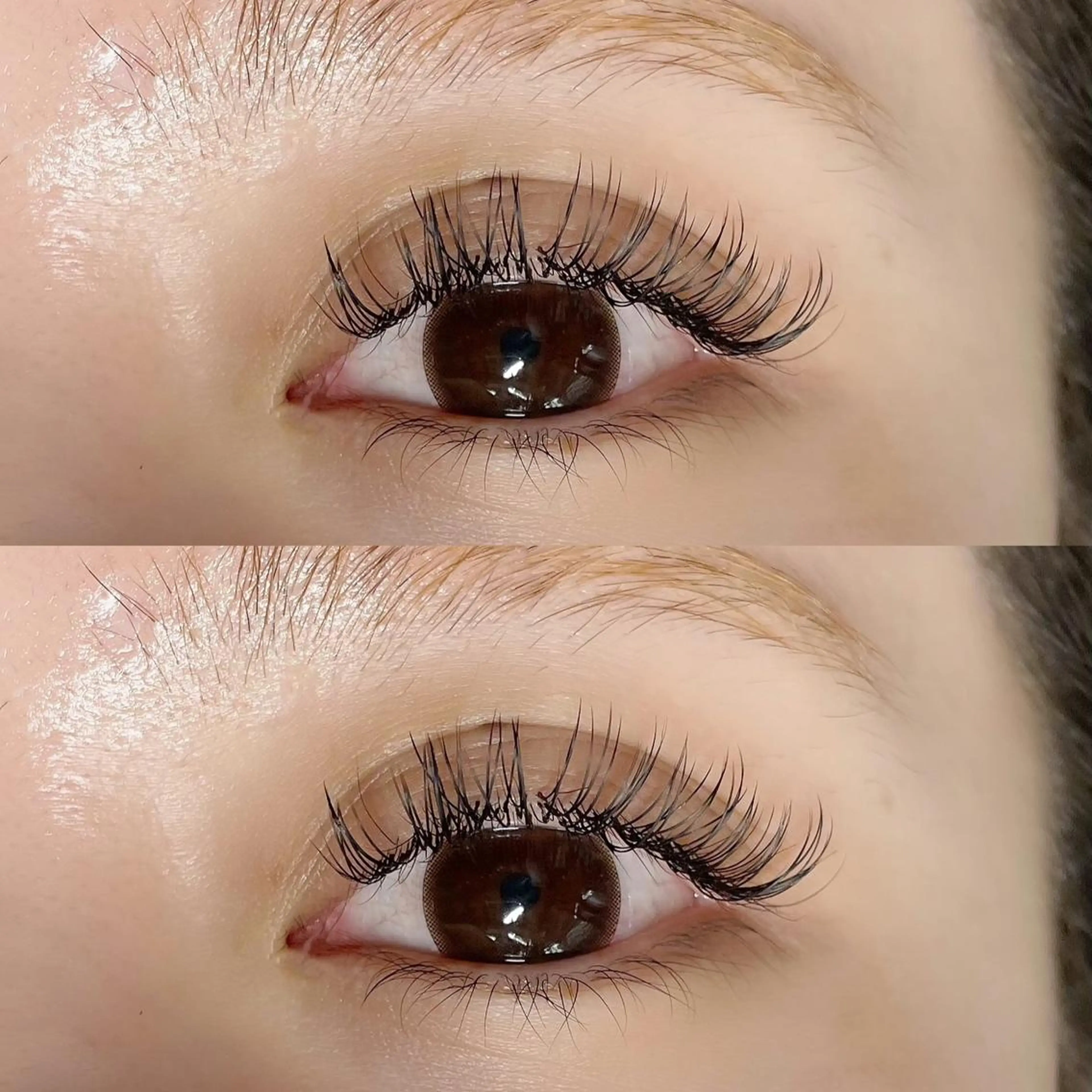 フラットラッシュ90min🦋の写真