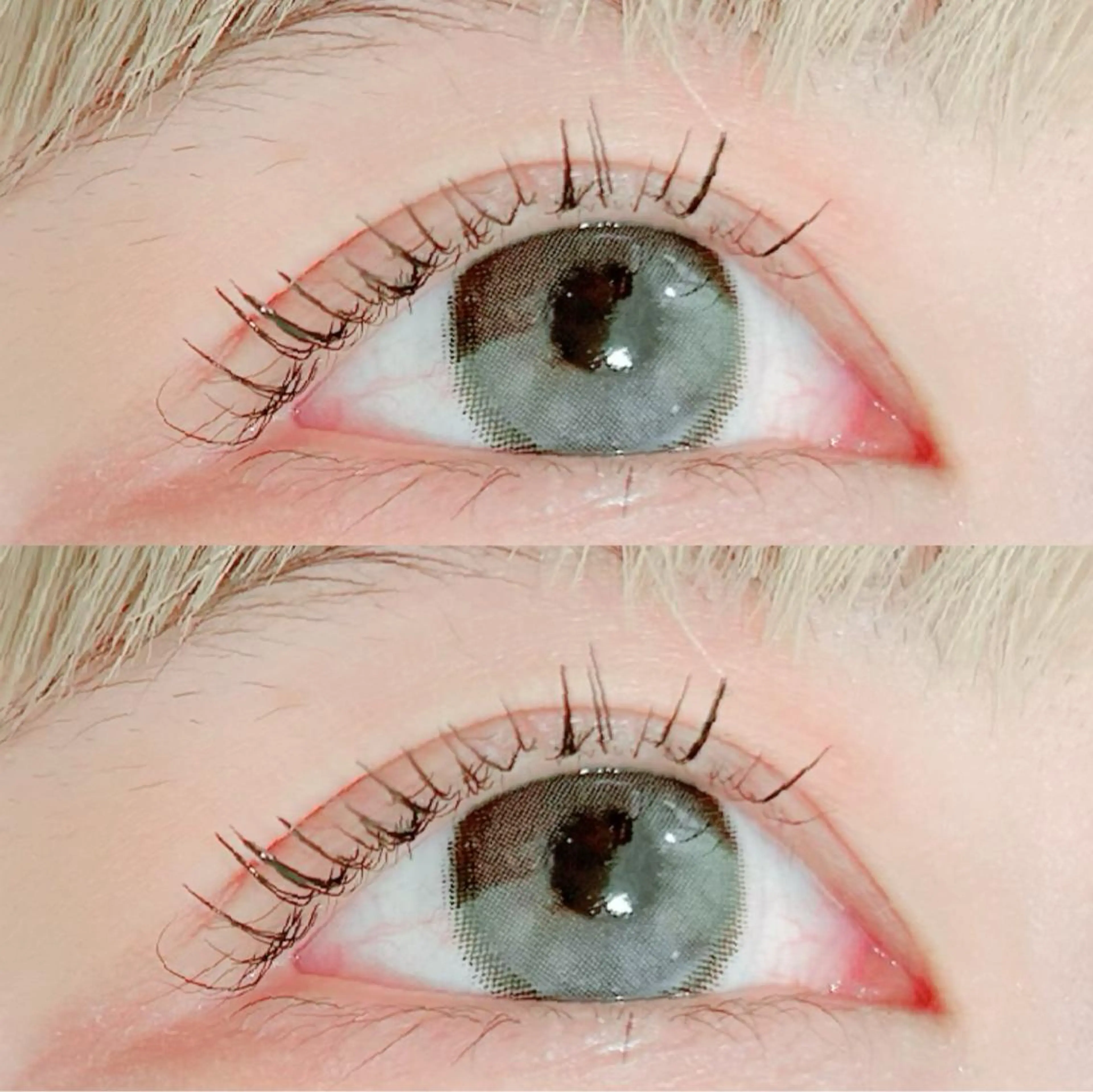 マツエク・マツパ アイブロウ LaBless あべのキューズサロン所属・艶カラー/あいか💜 天王寺阿倍野のマツエク・マツパデザイン