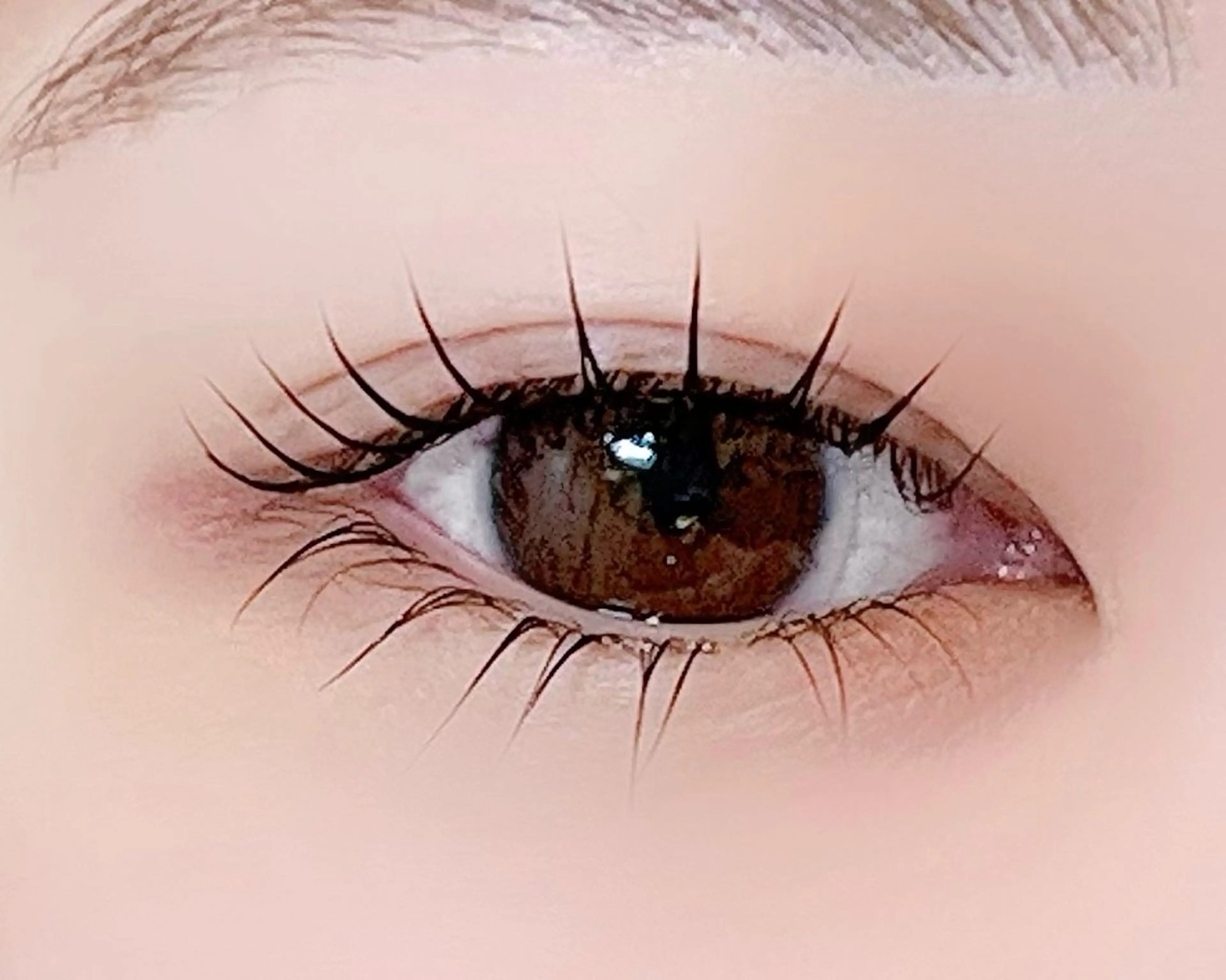 🌼パリジェンヌ上下🌼の写真