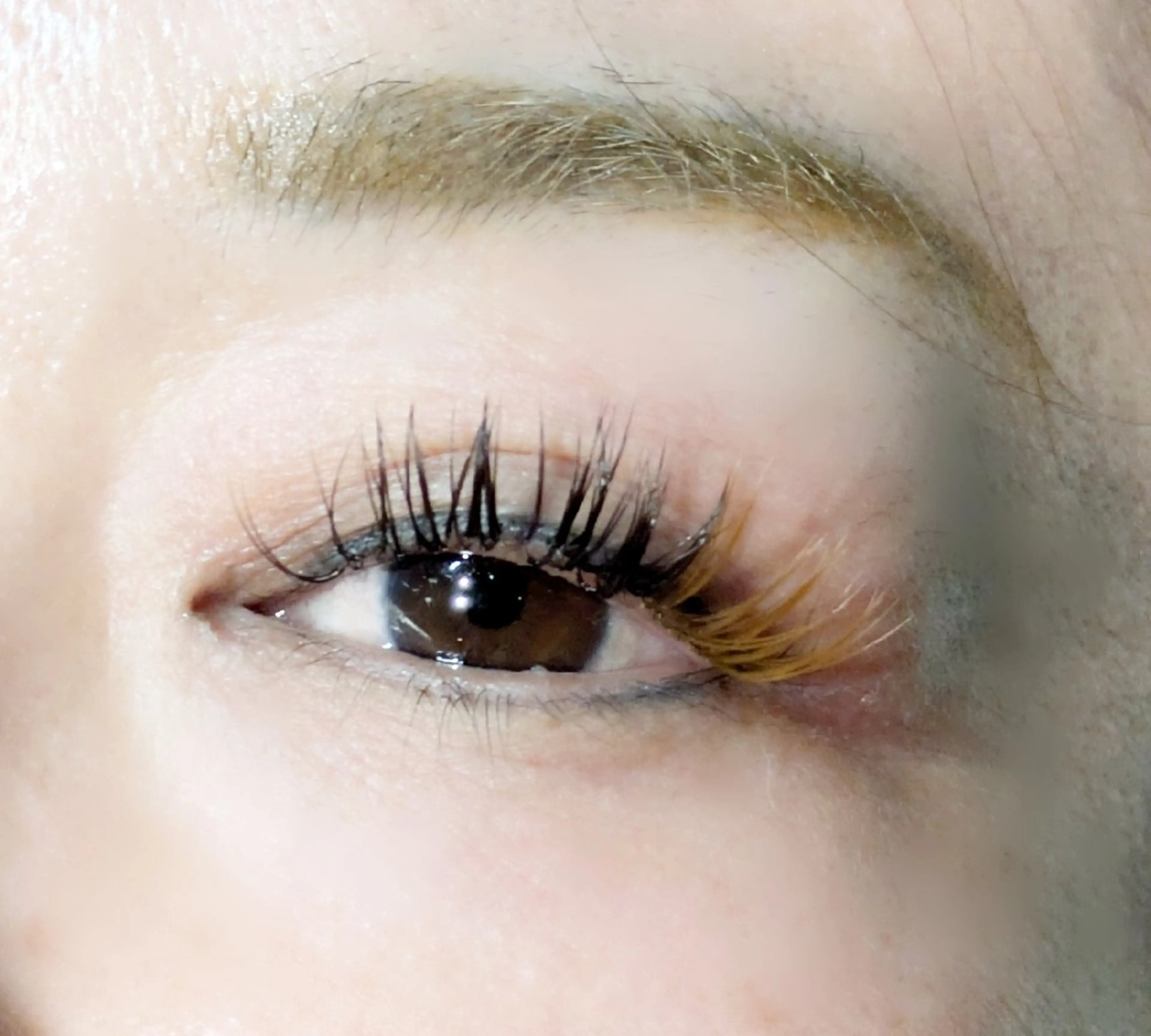 マツエク・マツパ フラットラッシュ マツエク 〚Ａ ｍａｄｅ〛 エーメイドのマツエク・マツパデザイン