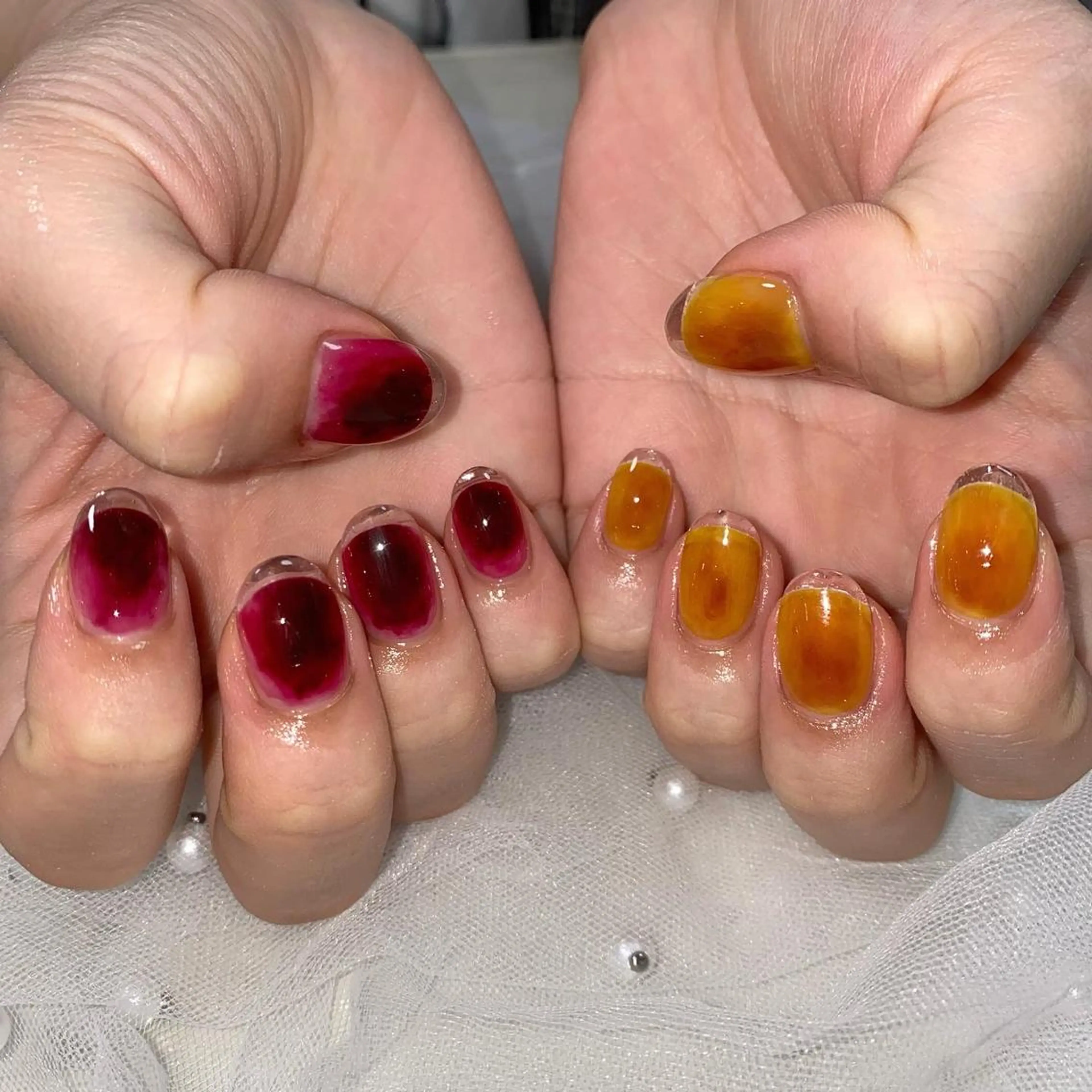 🦋クリアフレンチの写真