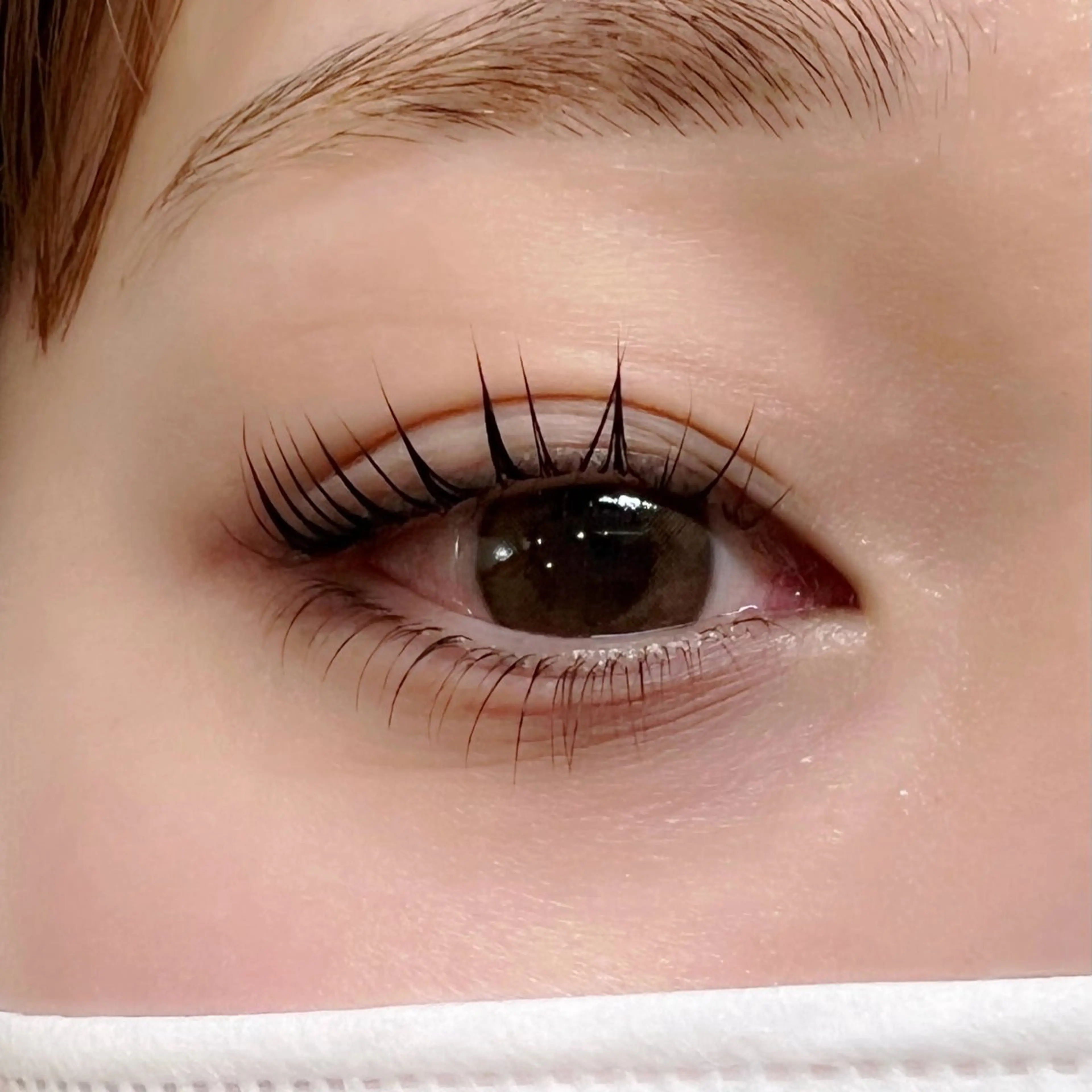 下まつげパーマの写真