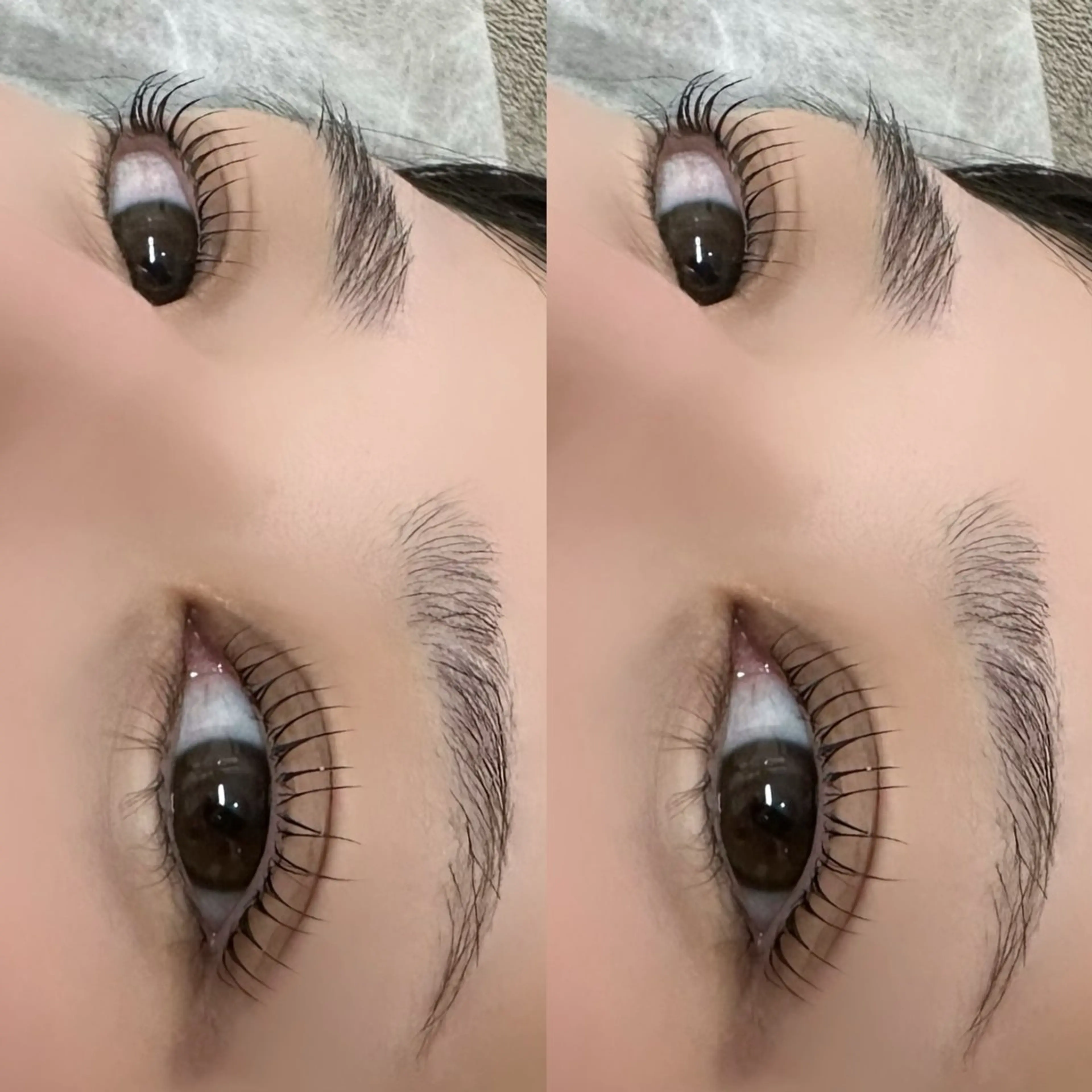 【4月20日〜】🧚♀️まつげパーマ🧚♀️コーティング付き👀(2時間程度)の写真