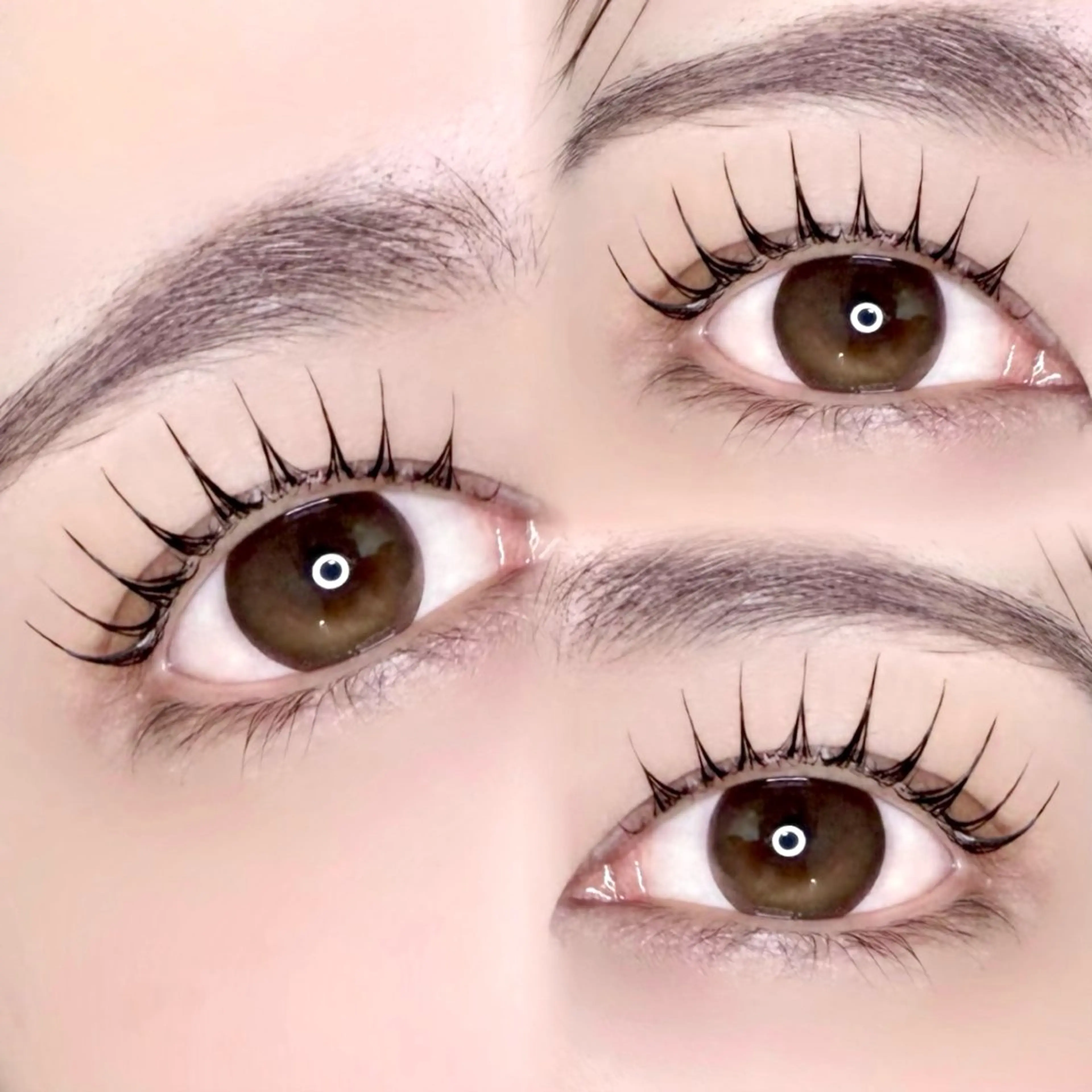 【当日限定🌈】まつ毛パーマorパリジェンヌ(ケラチントリートメント付き)の写真