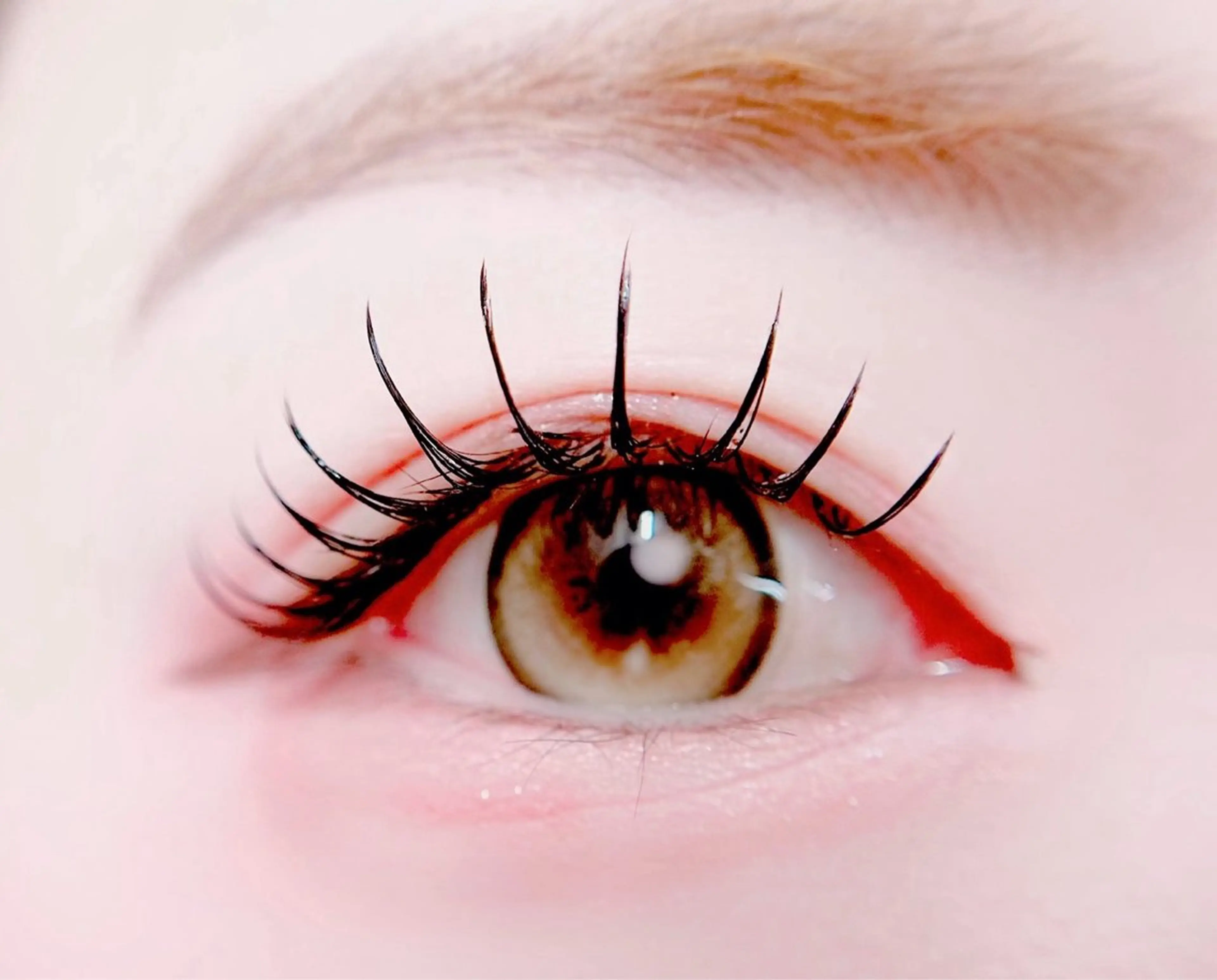 マツエク・マツパ 🎀eyelist. mizuki🐈‍⬛の眉毛・アイブロウイメージ