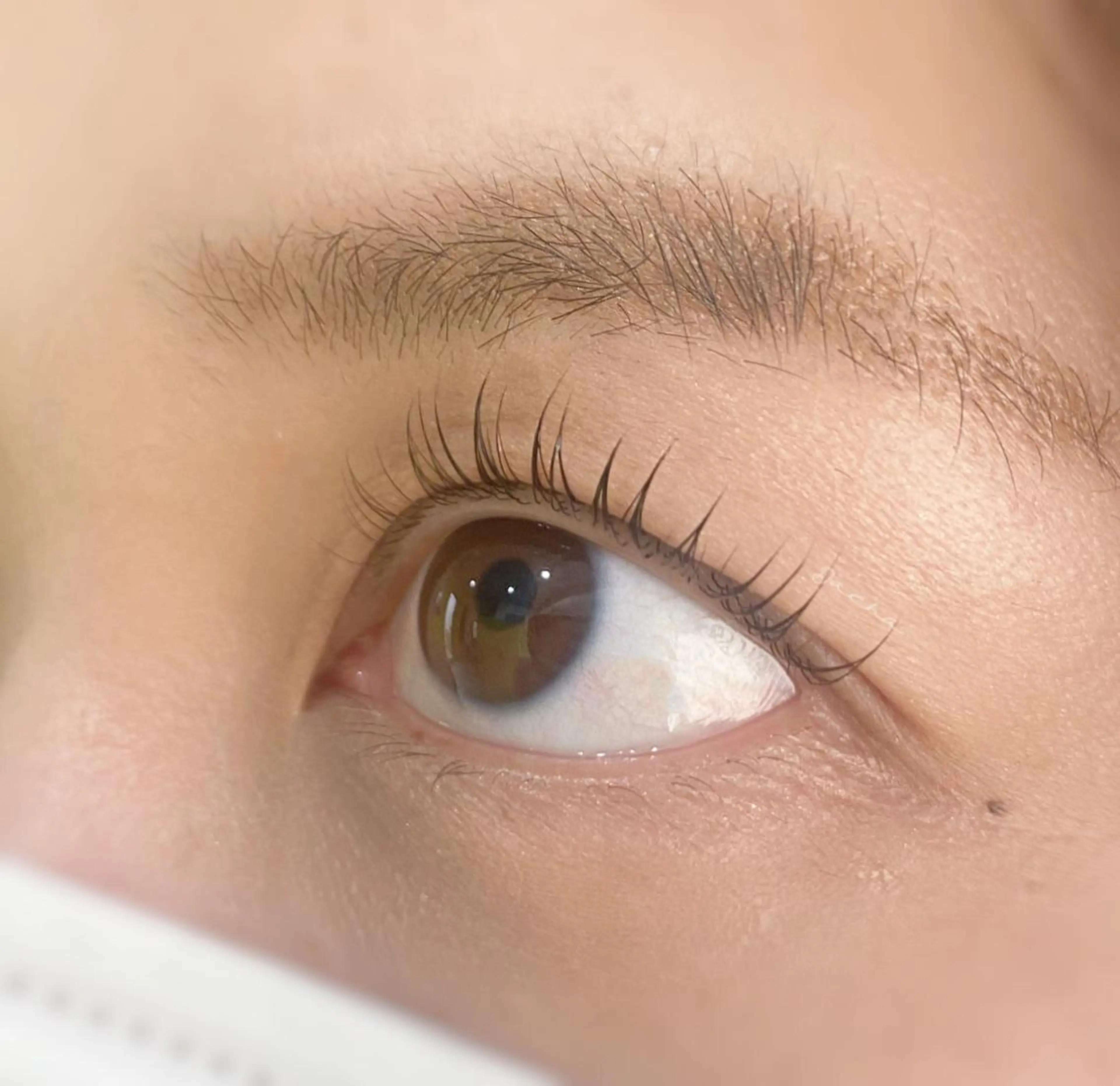 マツエク・マツパ まつ毛の悩み解消 Dacha吉岡の眉毛・アイブロウイメージ