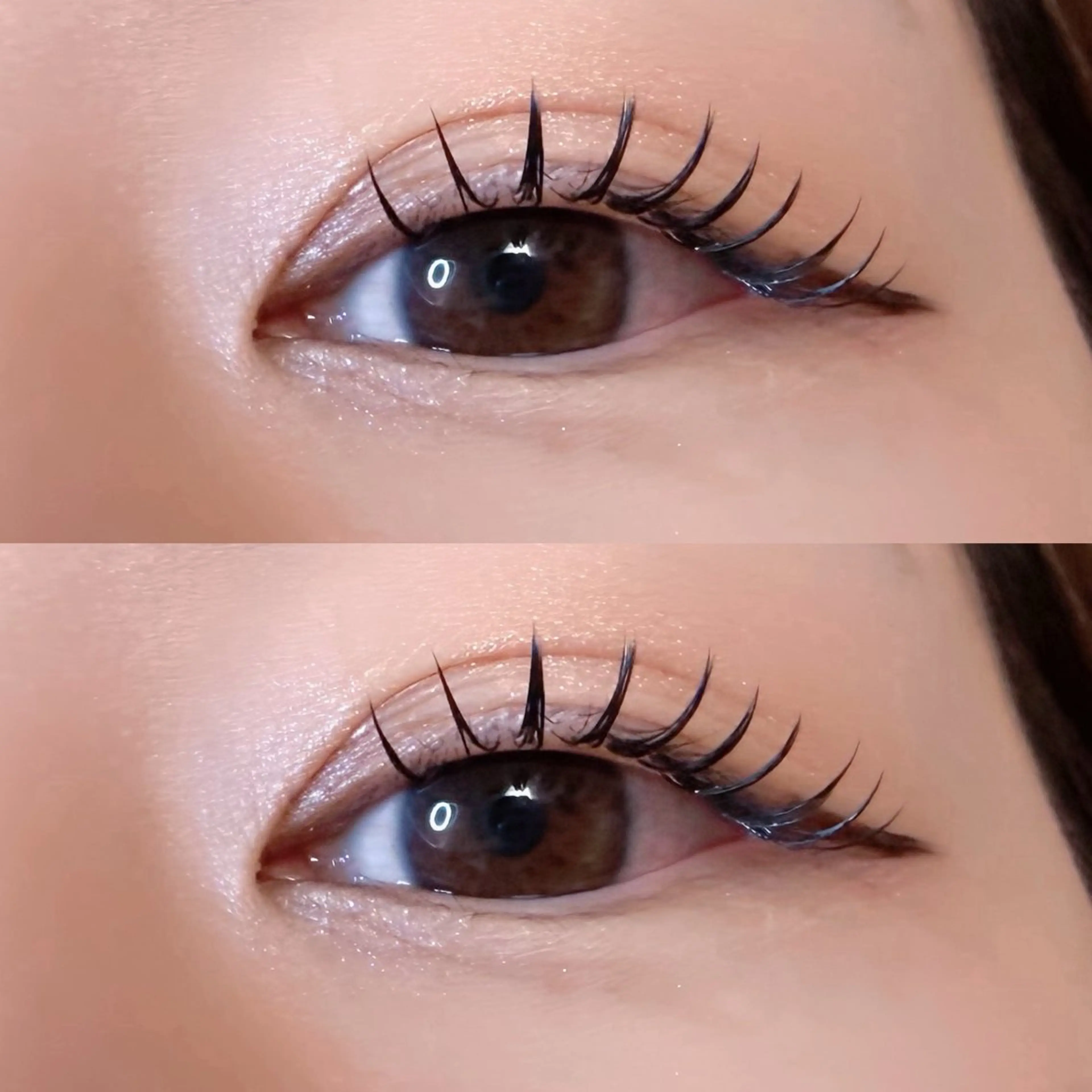 🍀ダブルフラット付け足し〜40束(5週以内)の写真