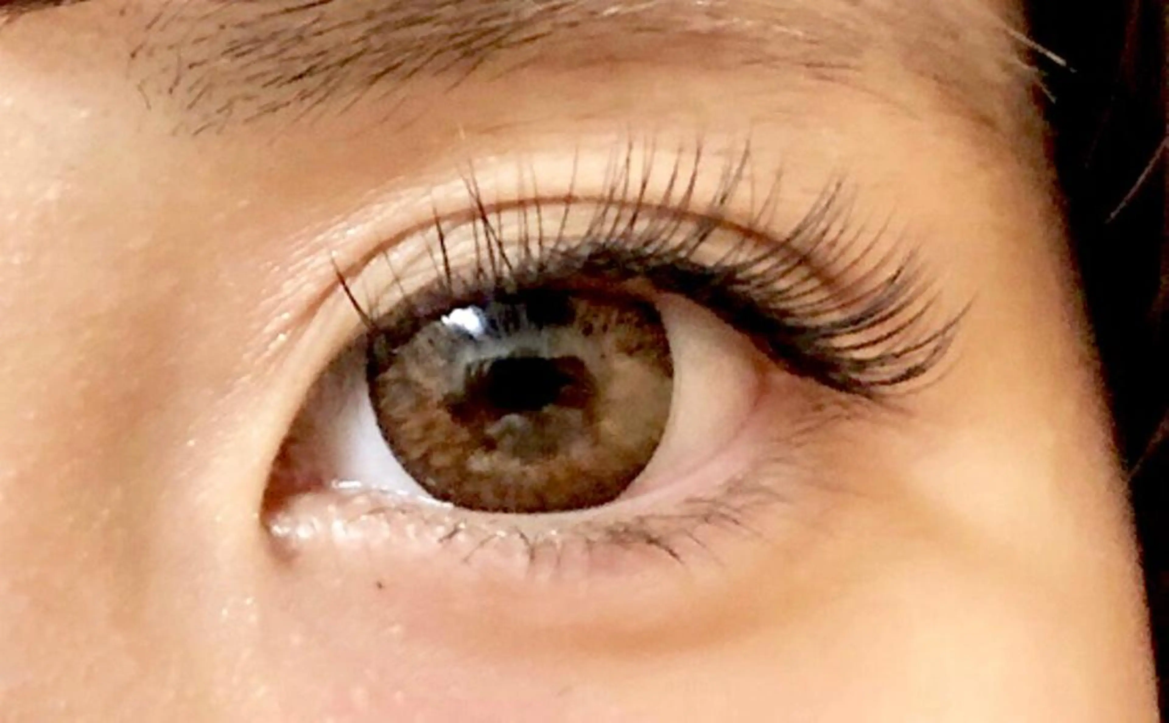 アップワードラッシュ 付け放題⭐️【下がりまつ毛解消❣️リフトアップ効果✨】の写真