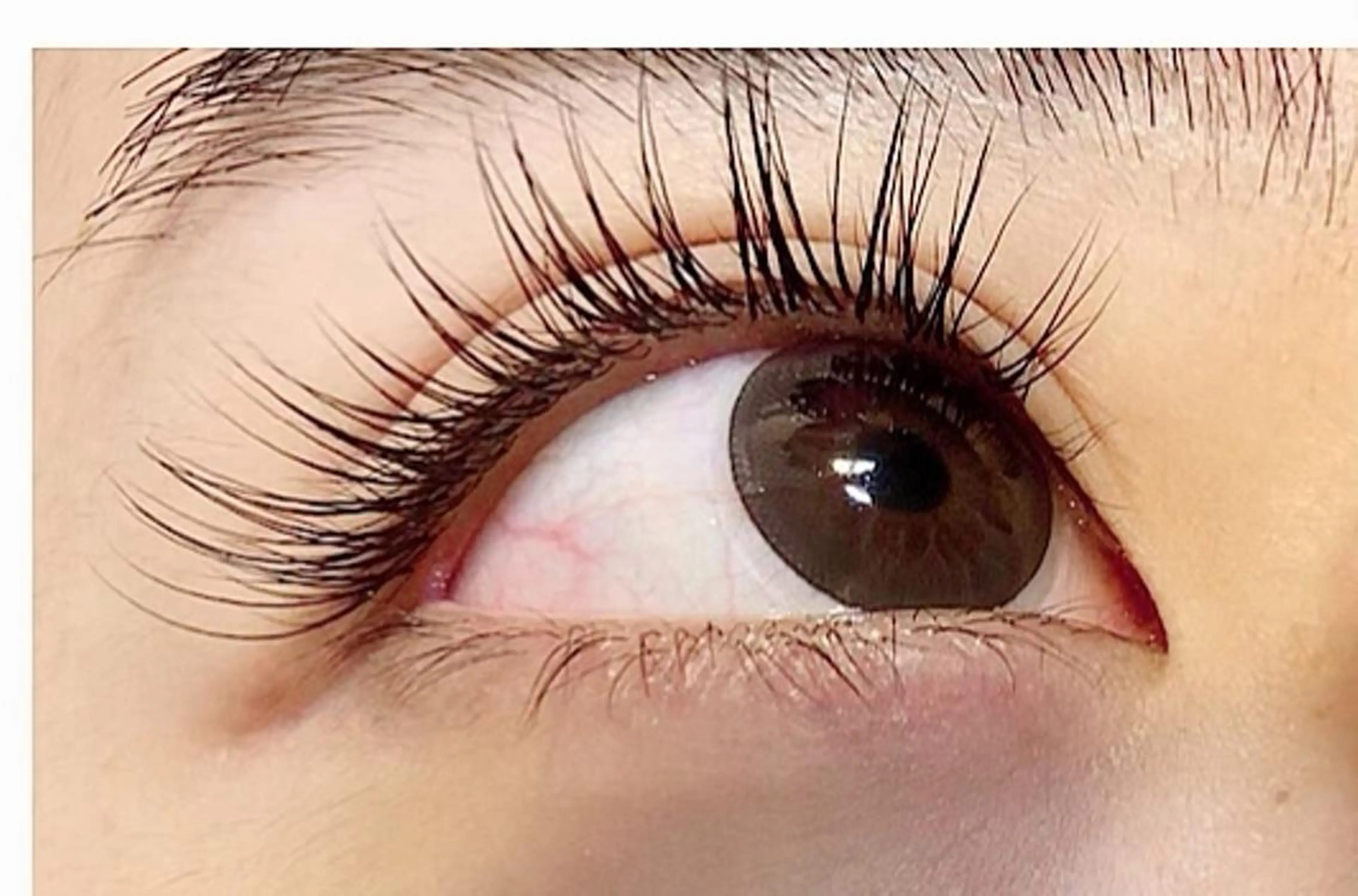 マツエク・マツパ マツエク まつ毛エクステサロン winkのマツエク・マツパデザイン