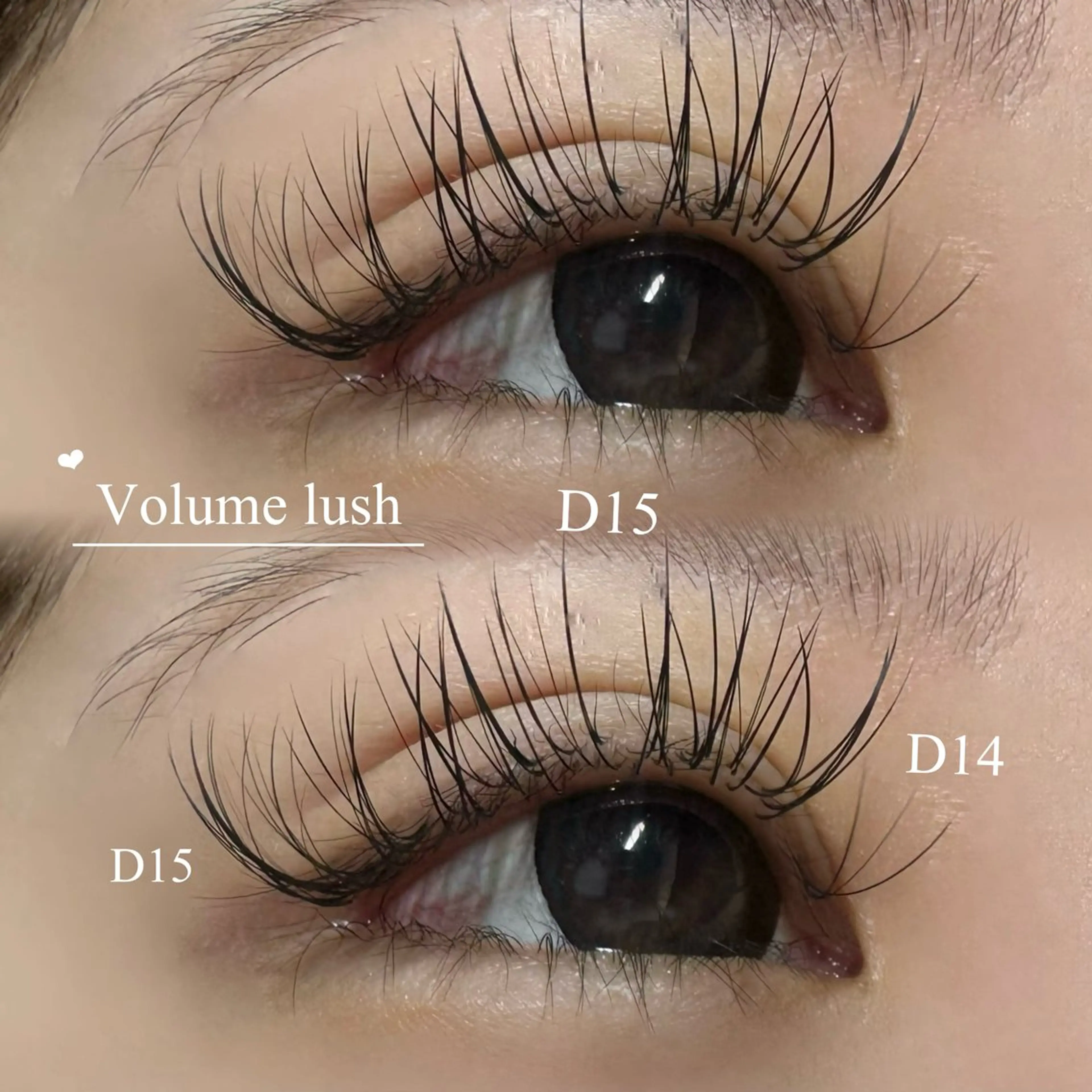 【すぐ予約のみ】 オフなし LEDボリュームラッシュ300本👀💜の写真