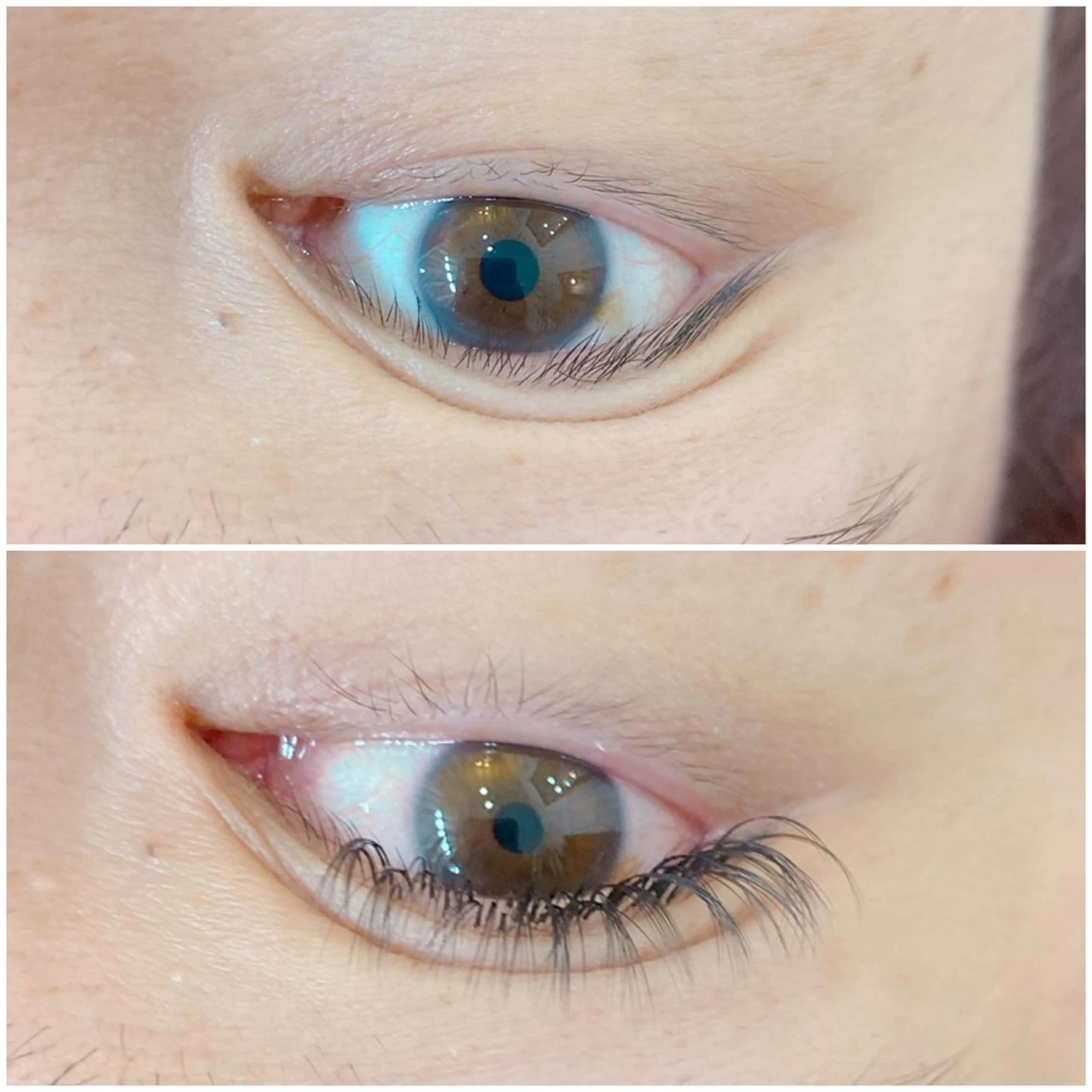 マツエク・マツパ アイブロウ ボリュームラッシュ Flor上大岡 ＊フルノ リナ＊のマツエク・マツパデザイン