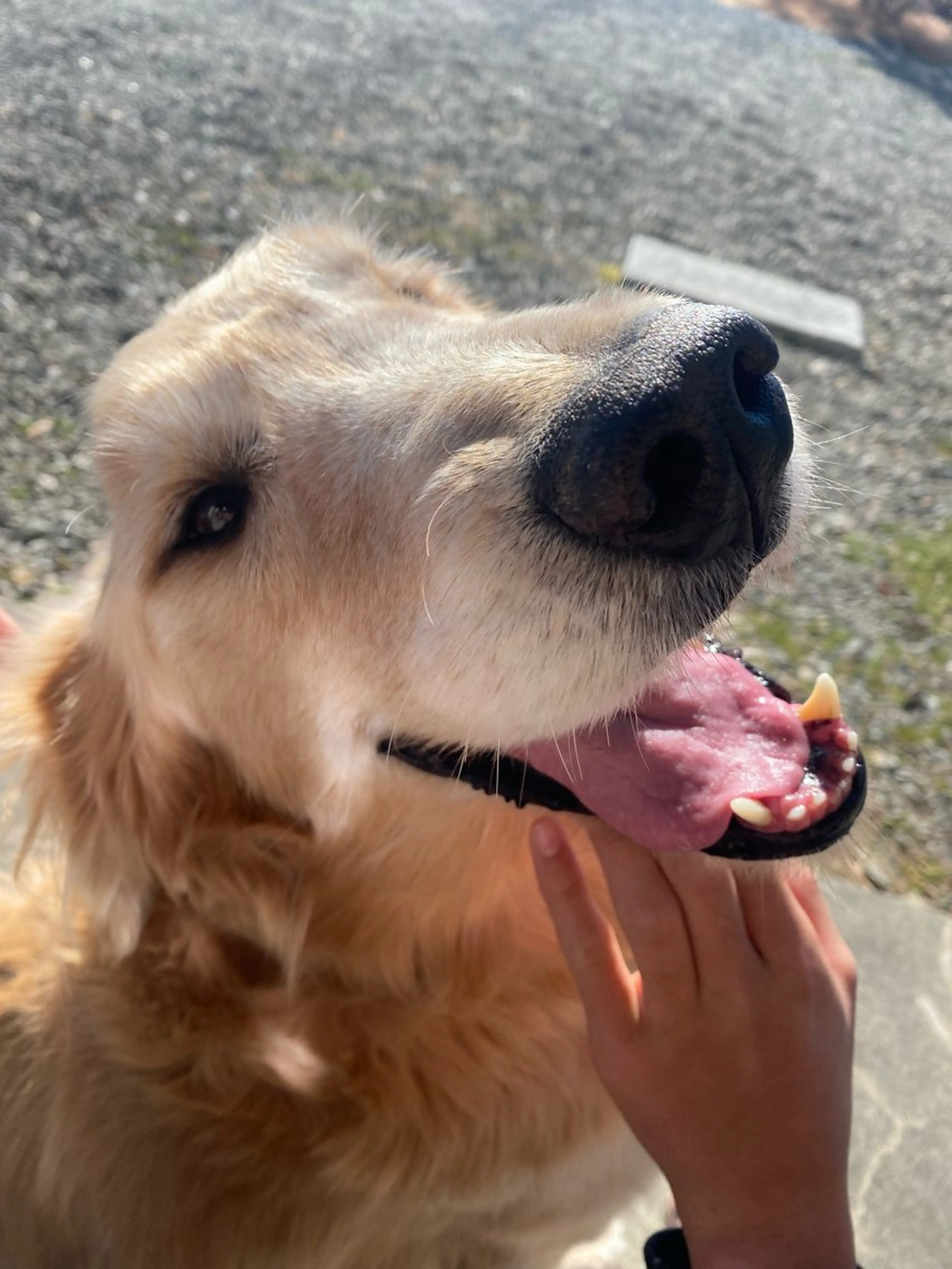 ネイルサロン&スクールGONA所属・ネイルサロン& スクールGONAのネイルデザイン