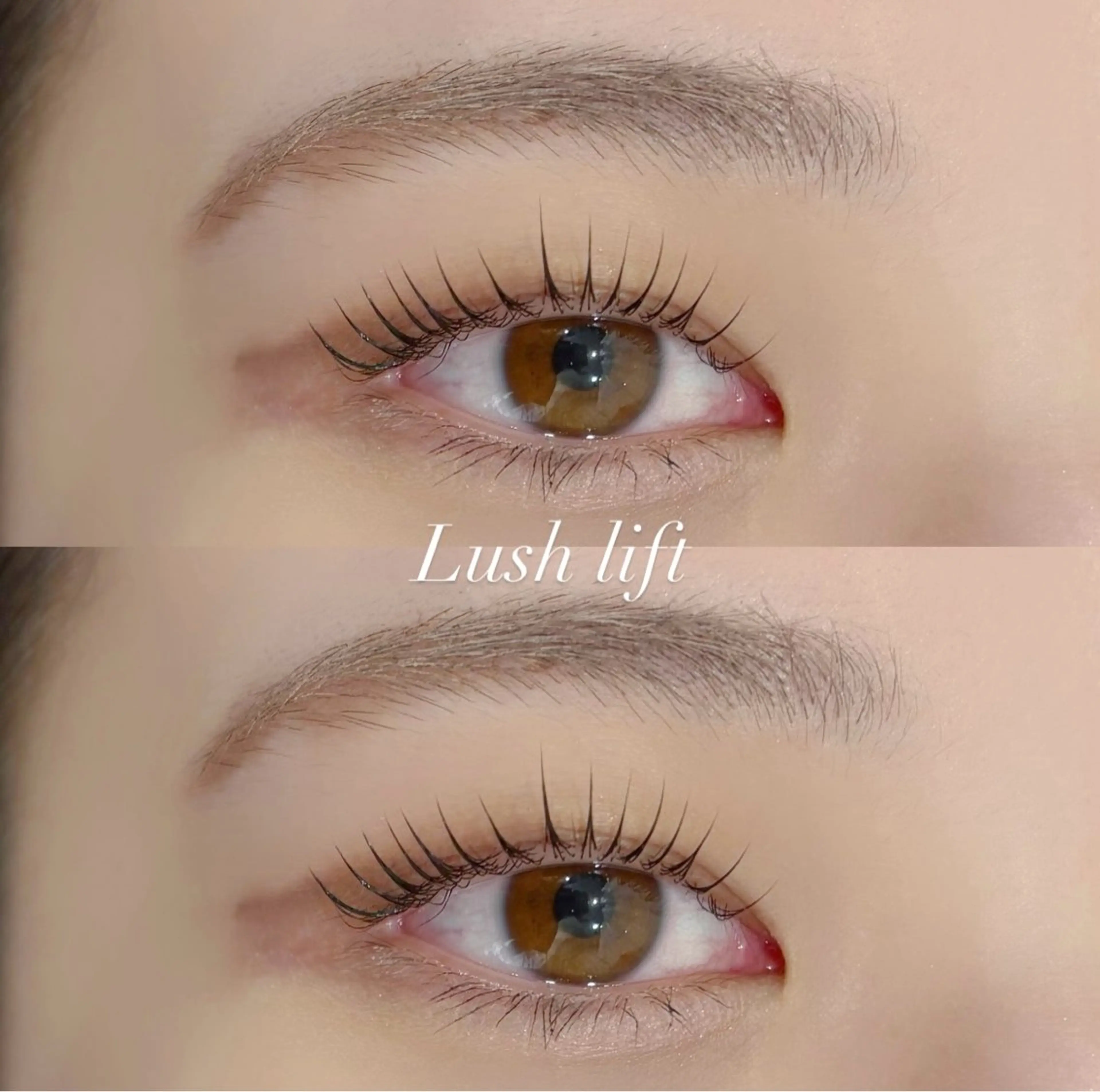 【学割】選べるまつげパーマ🩷orアイブロウWAX🤍の写真