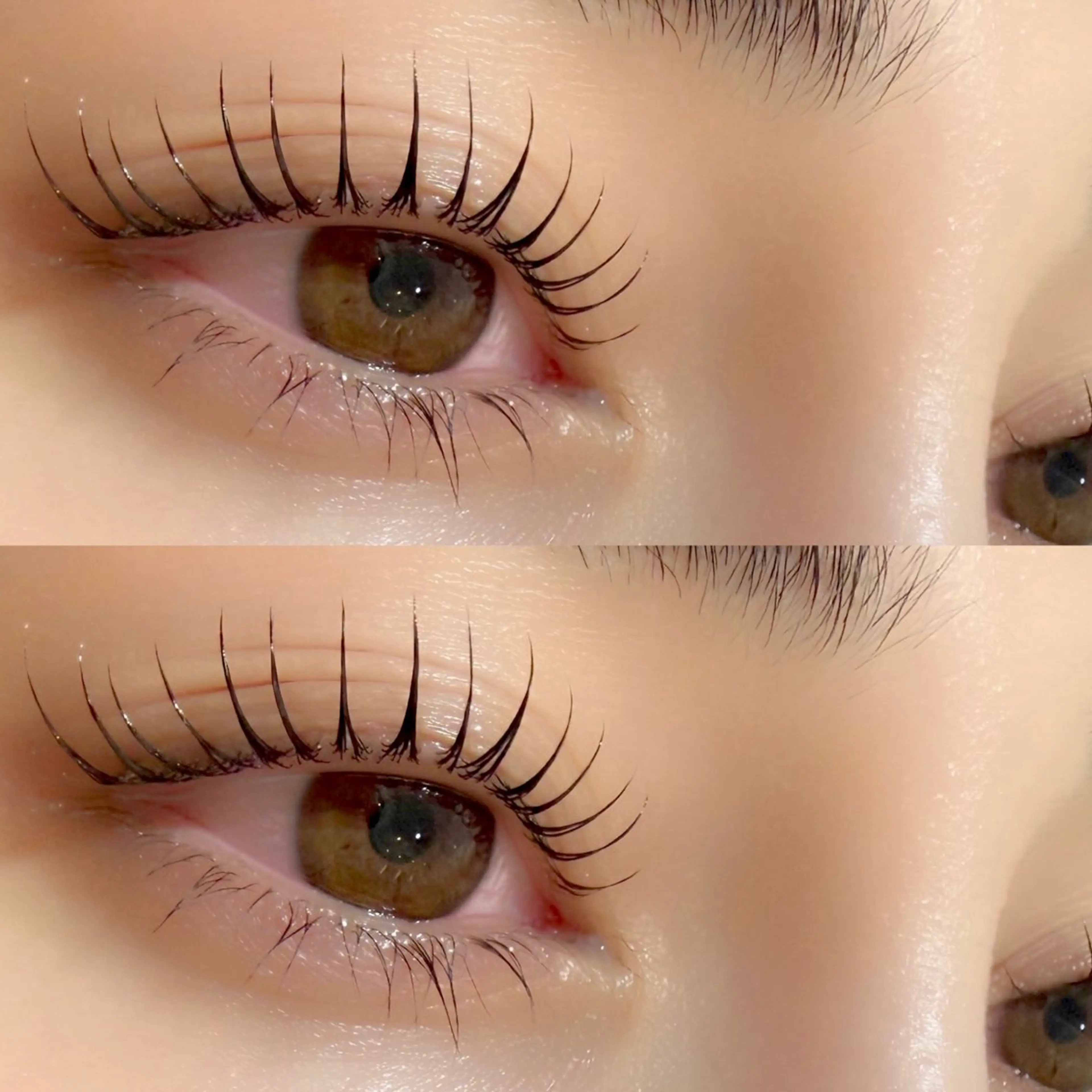 マツエク・マツパ マツパ 京橋🦋LEDマツエ ク&まつ毛パーマのマツエク・マツパデザイン