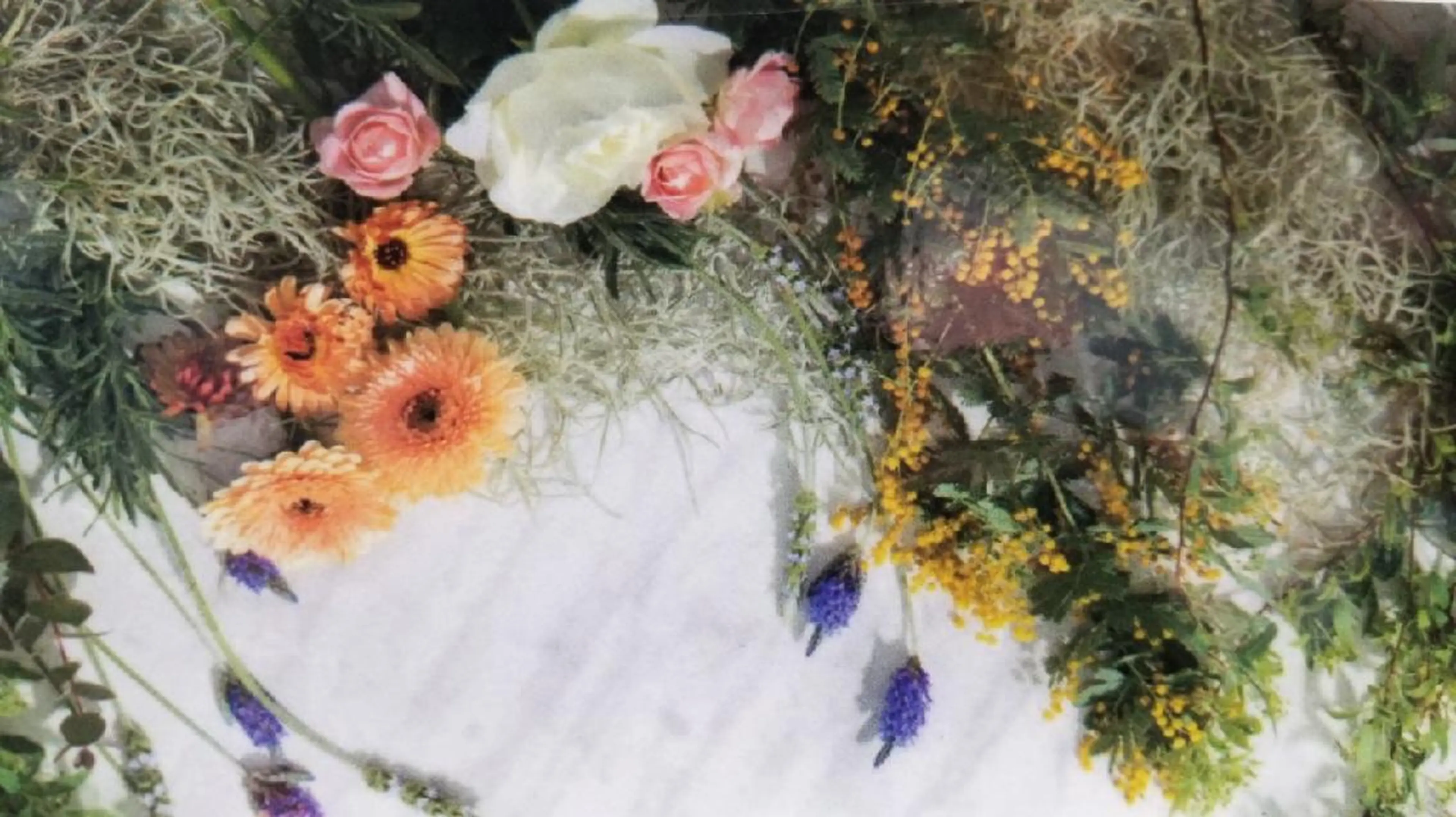 細川 治代のヘアスタイル