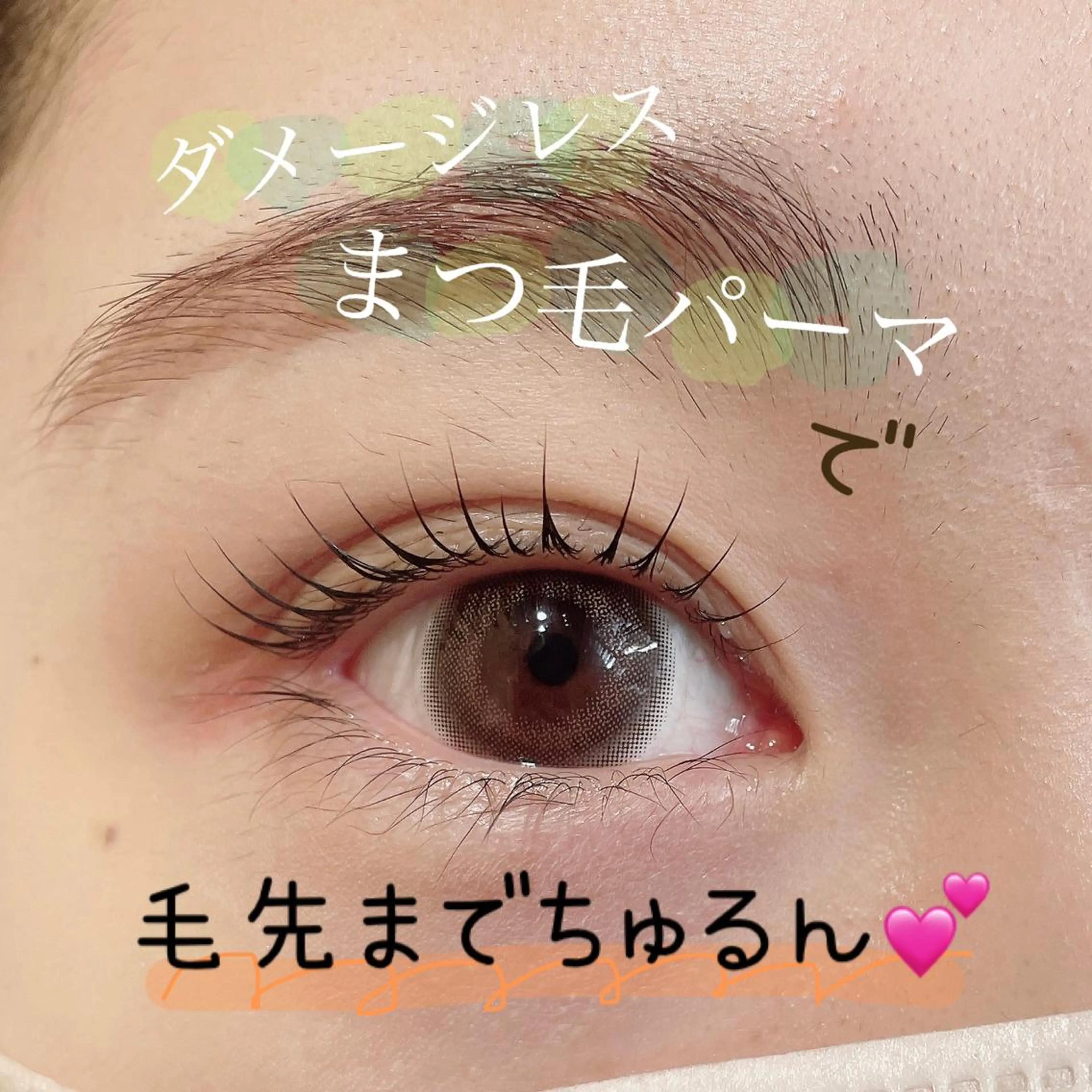 マツエク・マツパ バインドロック フラットラッシュ パリジェンヌラッシュリフト まつげパーマ 下まつげエクステ マツパ SEALA 高石の眉毛・アイブロウイメージ