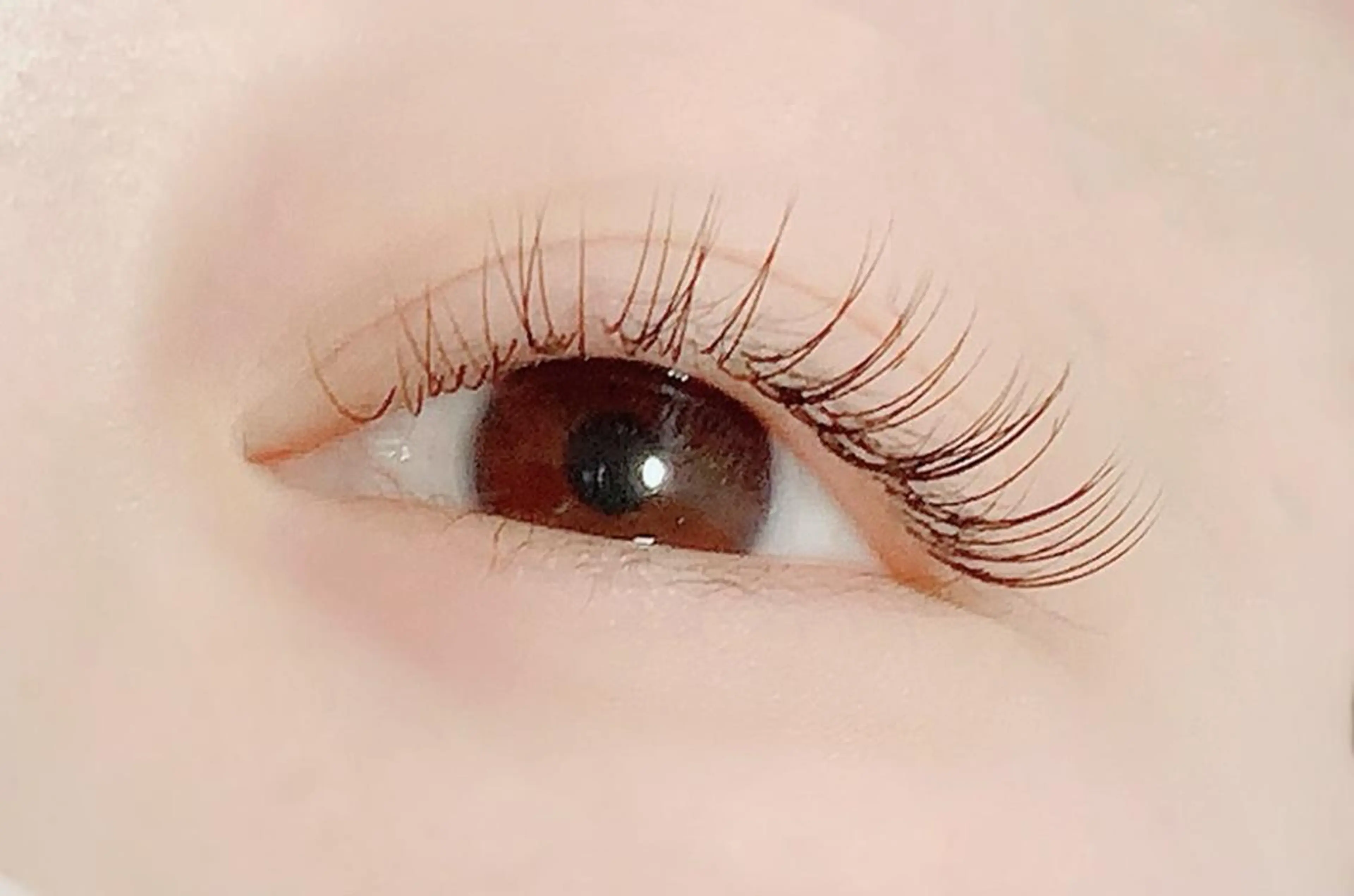 【新規オフ込】最高級毛セーブルエクステ80本の写真