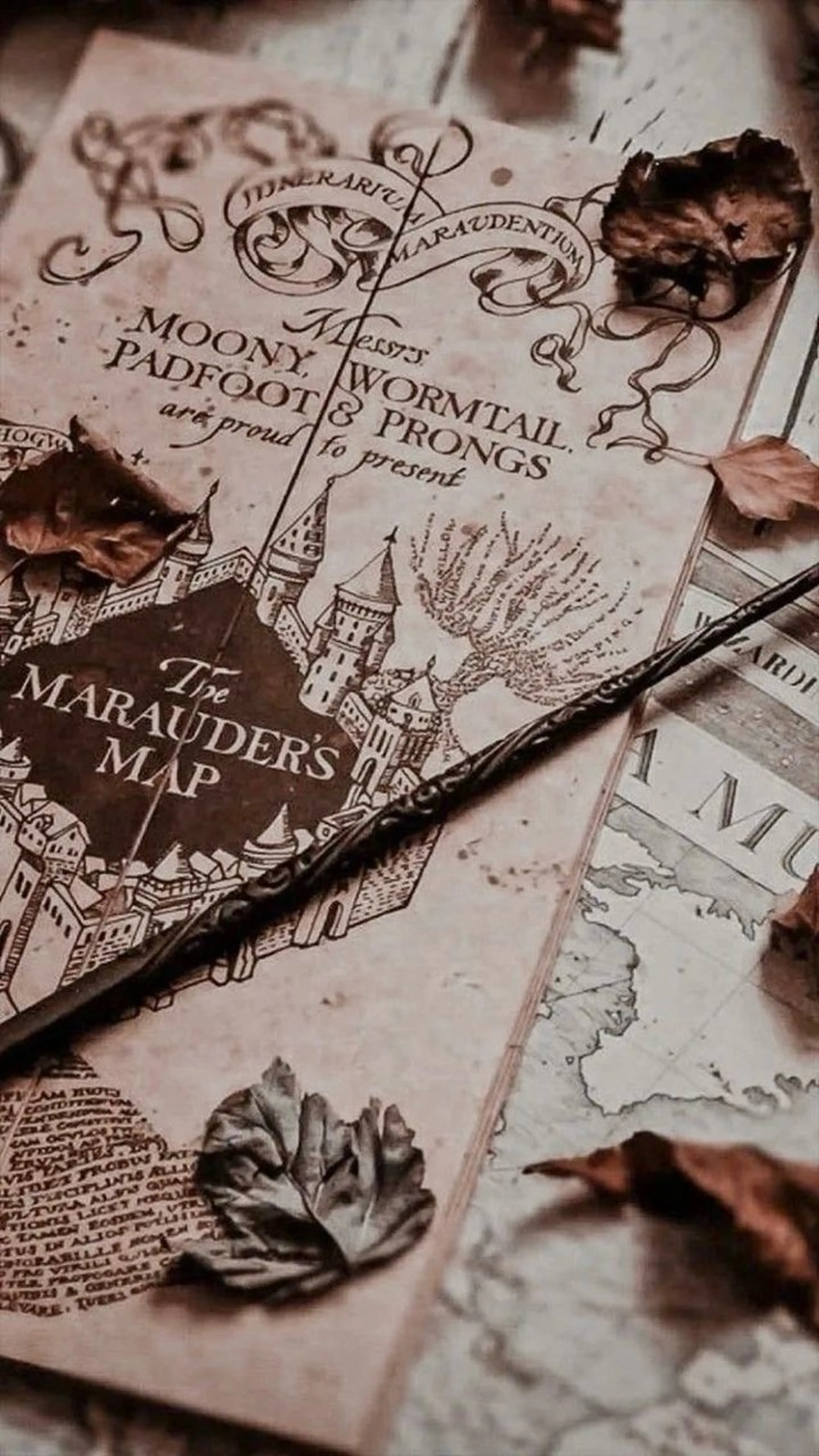 SUNNY 二俣川 yuri🌷のマツエク・マツパデザイン