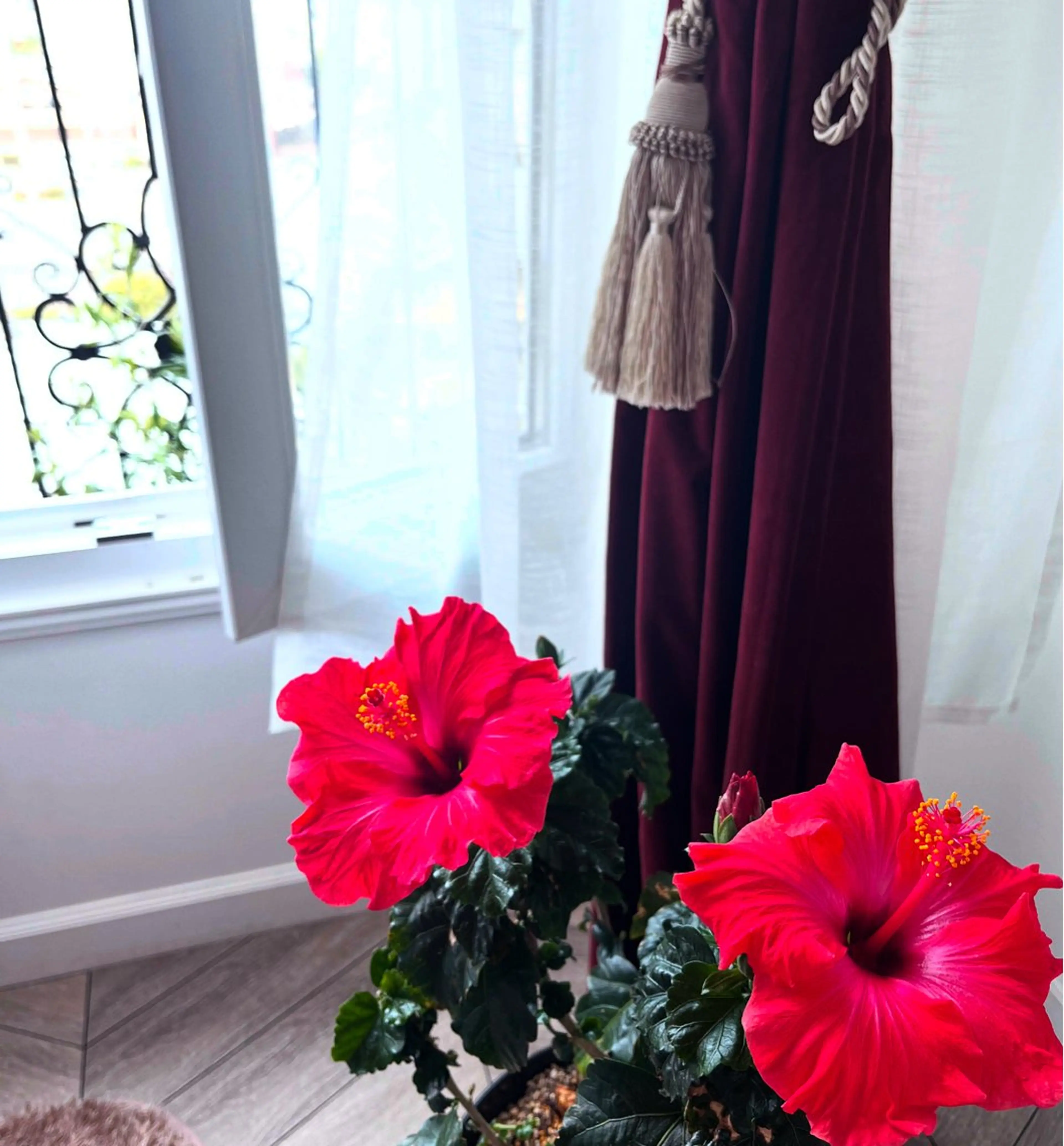 SACHIKO Yのエステ・リラクイメージ