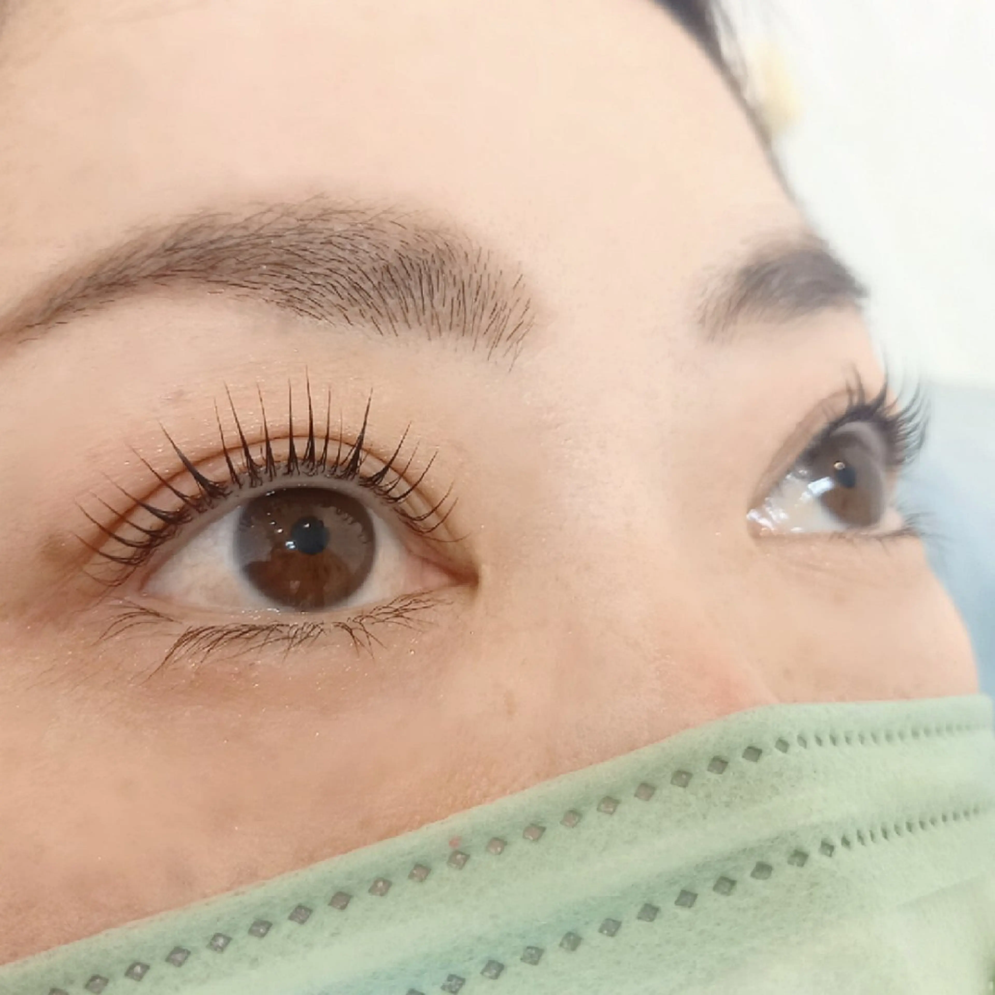 【4/17~4/24限定!!】【16%OFF!!】🤍パリジェンヌラッシュリフト🤍【ご新規様限定】【最終19時~】の写真