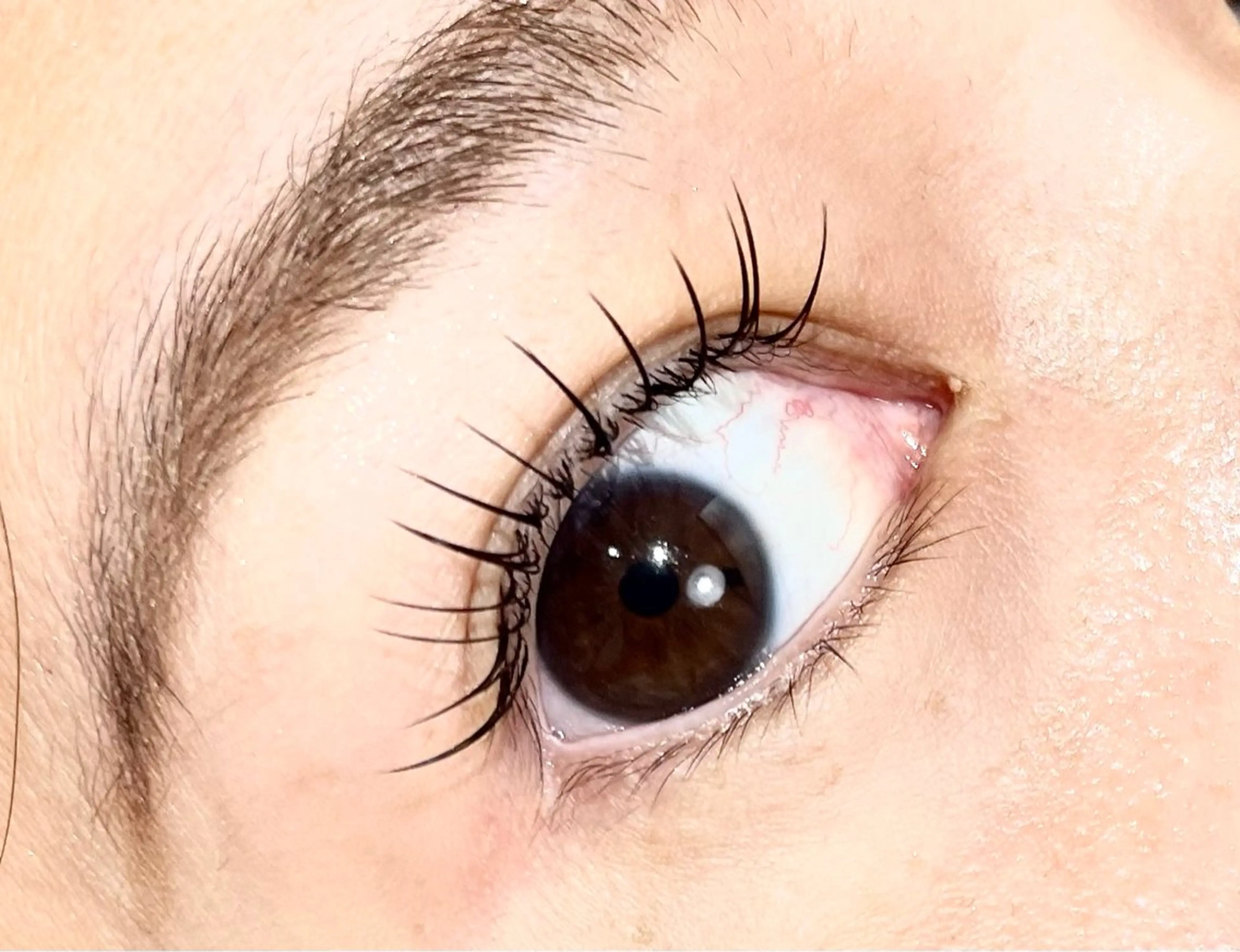 マツエク・マツパ フラットラッシュ 菊池 優花のマツエク・マツパデザイン