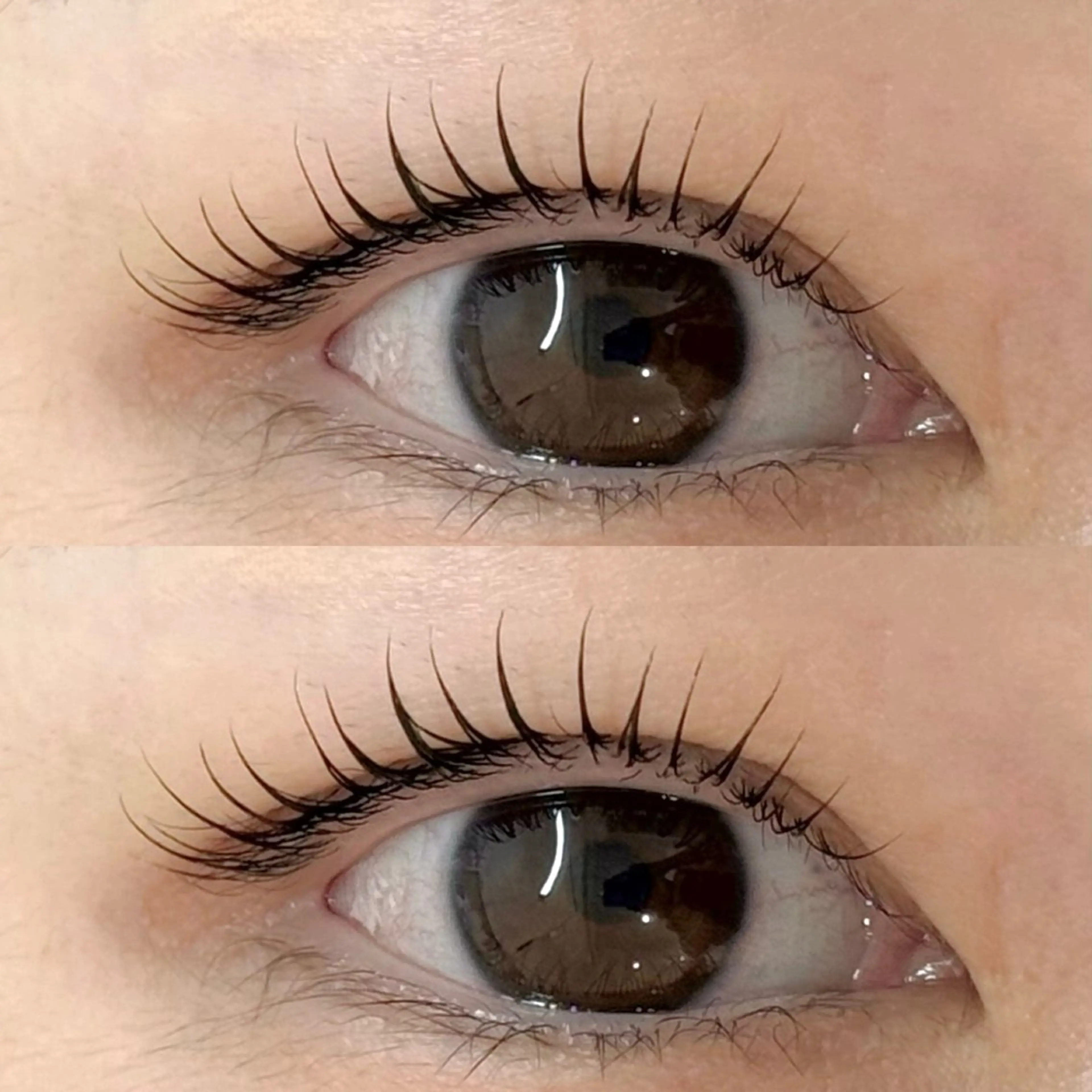 マツエク・マツパ M🐰 上本町/谷九のマツエク・マツパデザイン