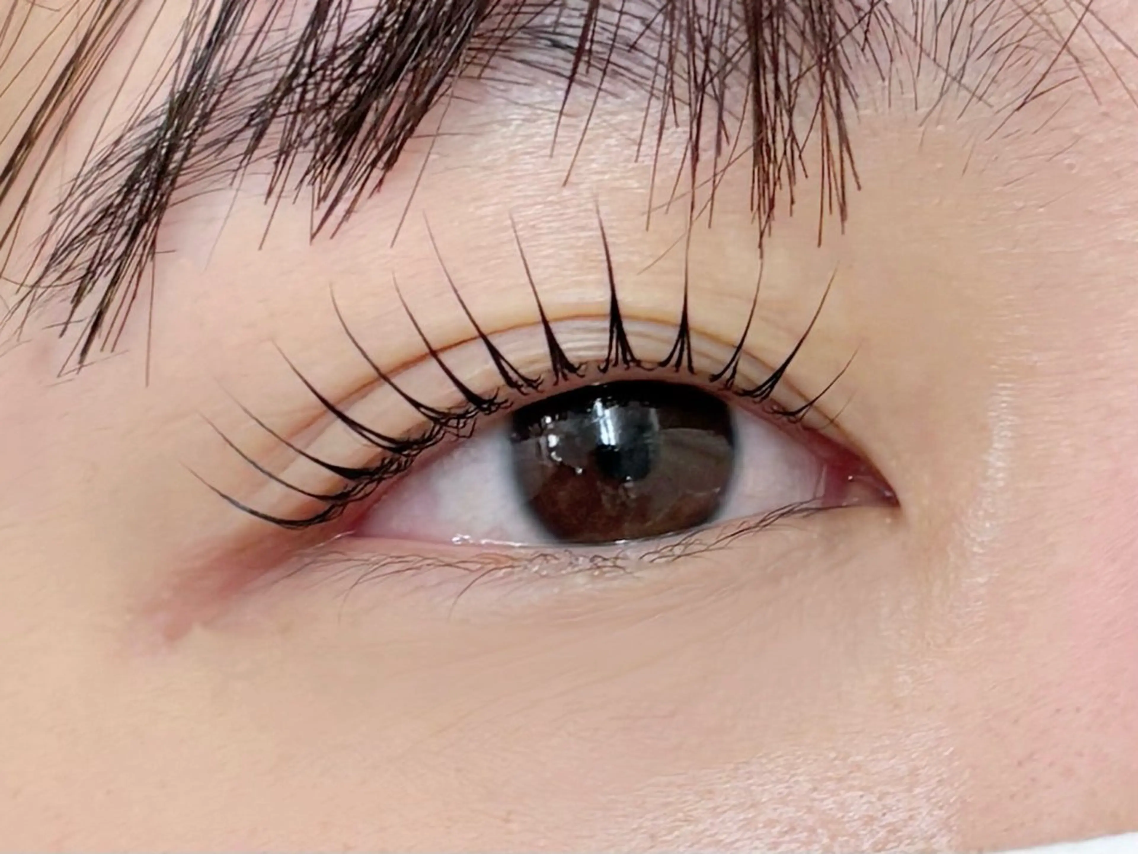 🖤話題のブラックティント付き🖤パリジェンヌラッシュリフト(上)🎀の写真