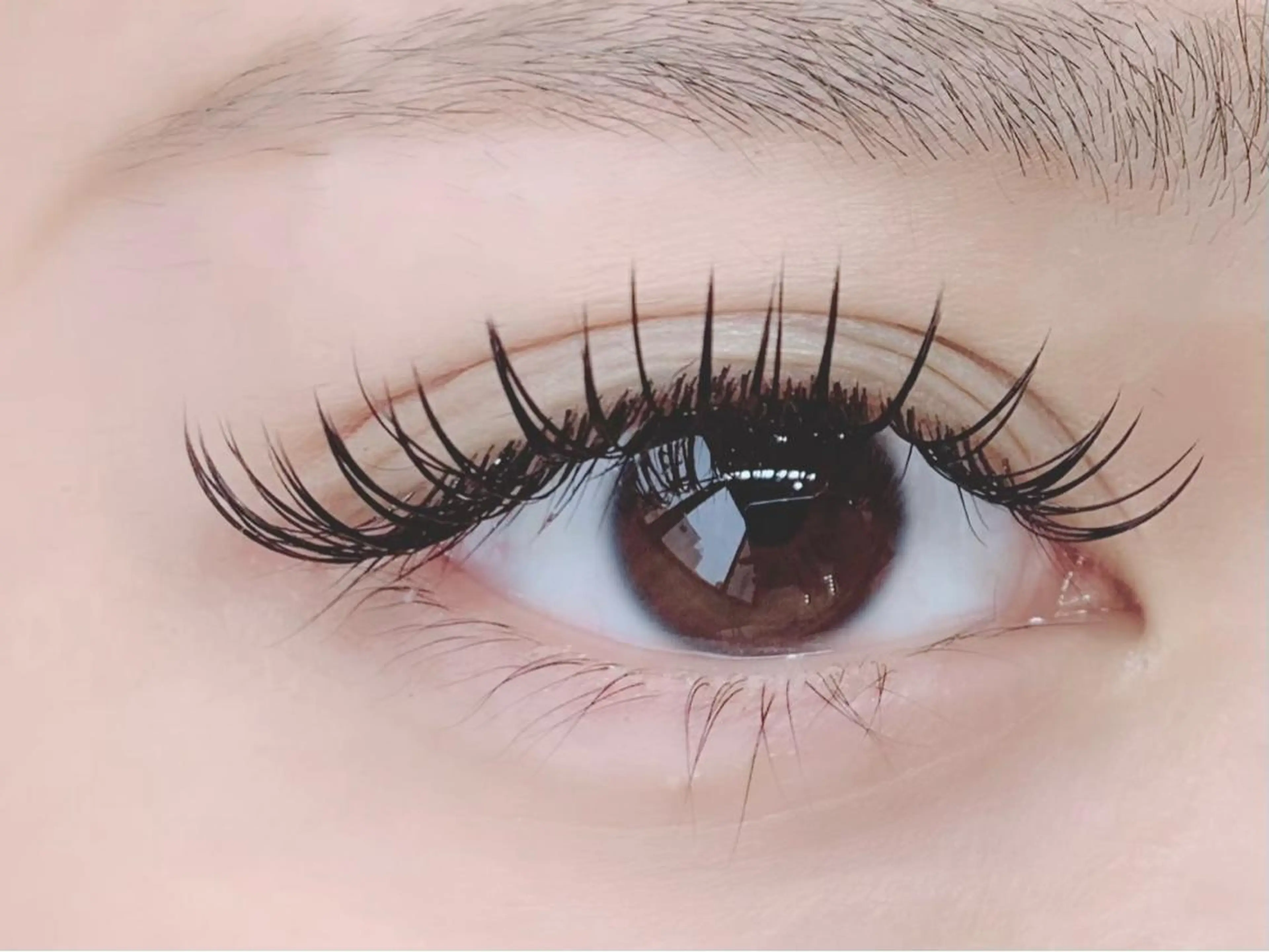 マツエク・マツパ フラットラッシュ meow RINA 恵比寿🐈🎀のマツエク・マツパデザイン