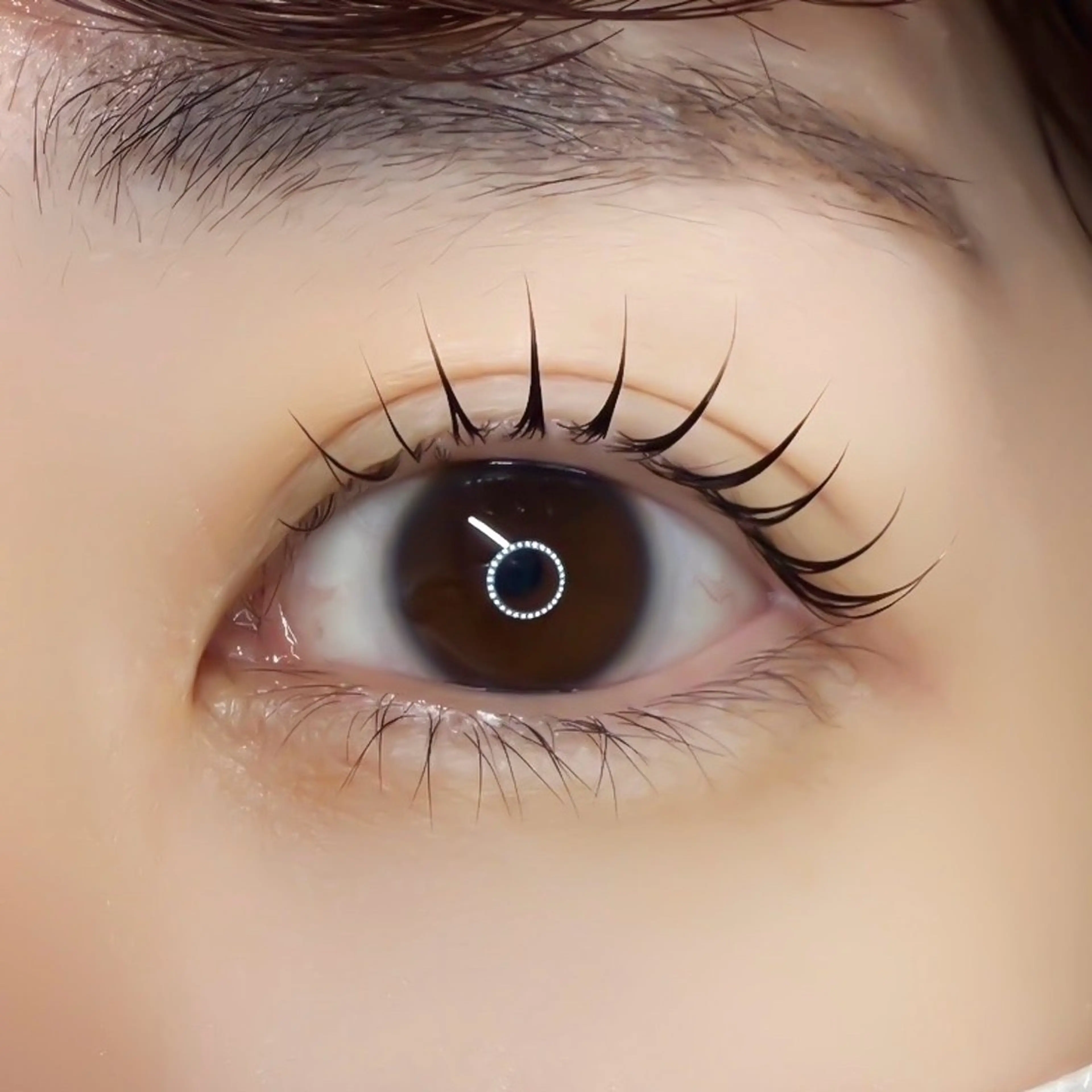 マツエク・マツパ マツパ Koa 🫧 Mei.のマツエク・マツパデザイン