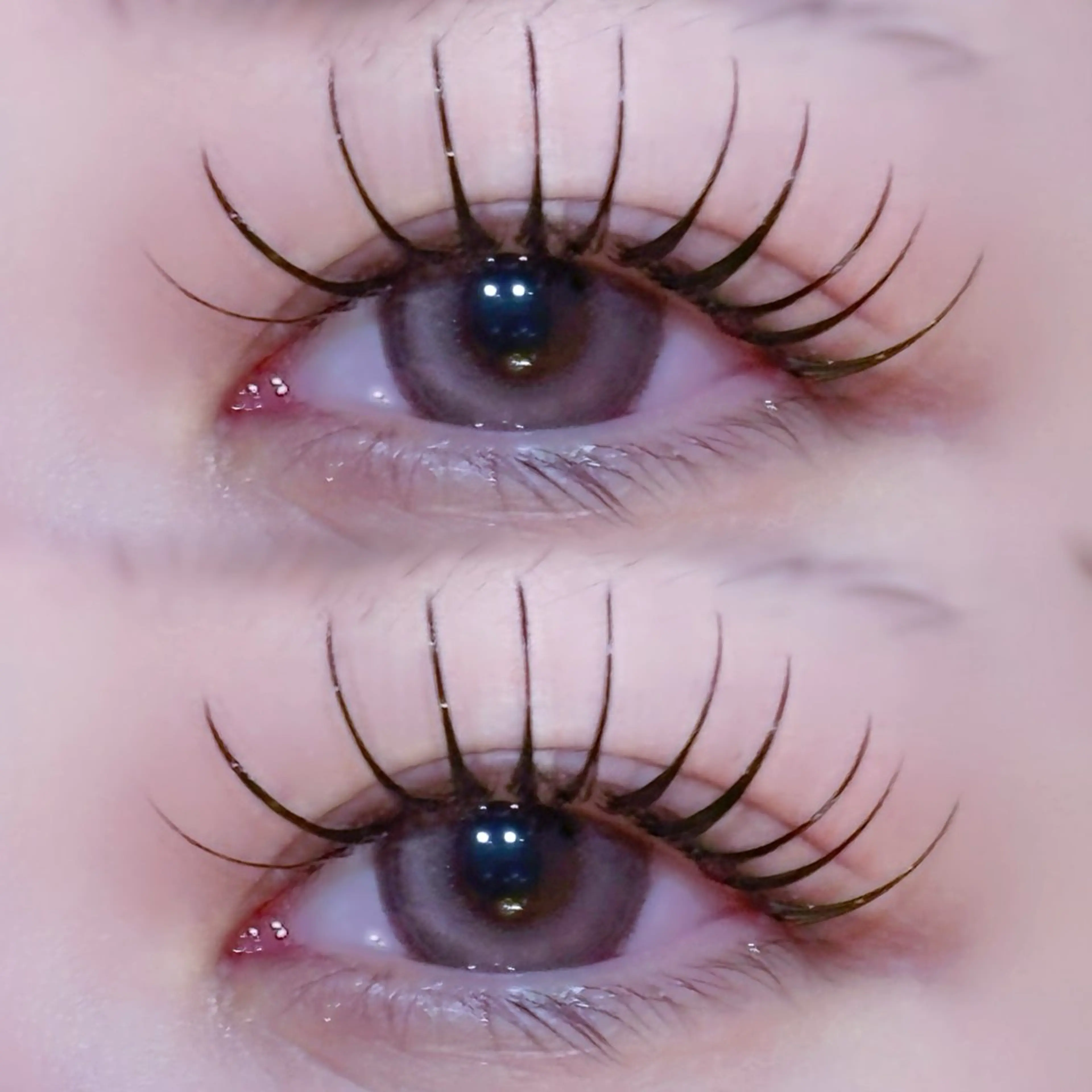 マツエク・マツパ EYELA🤍 蓜島のマツエク・マツパデザイン