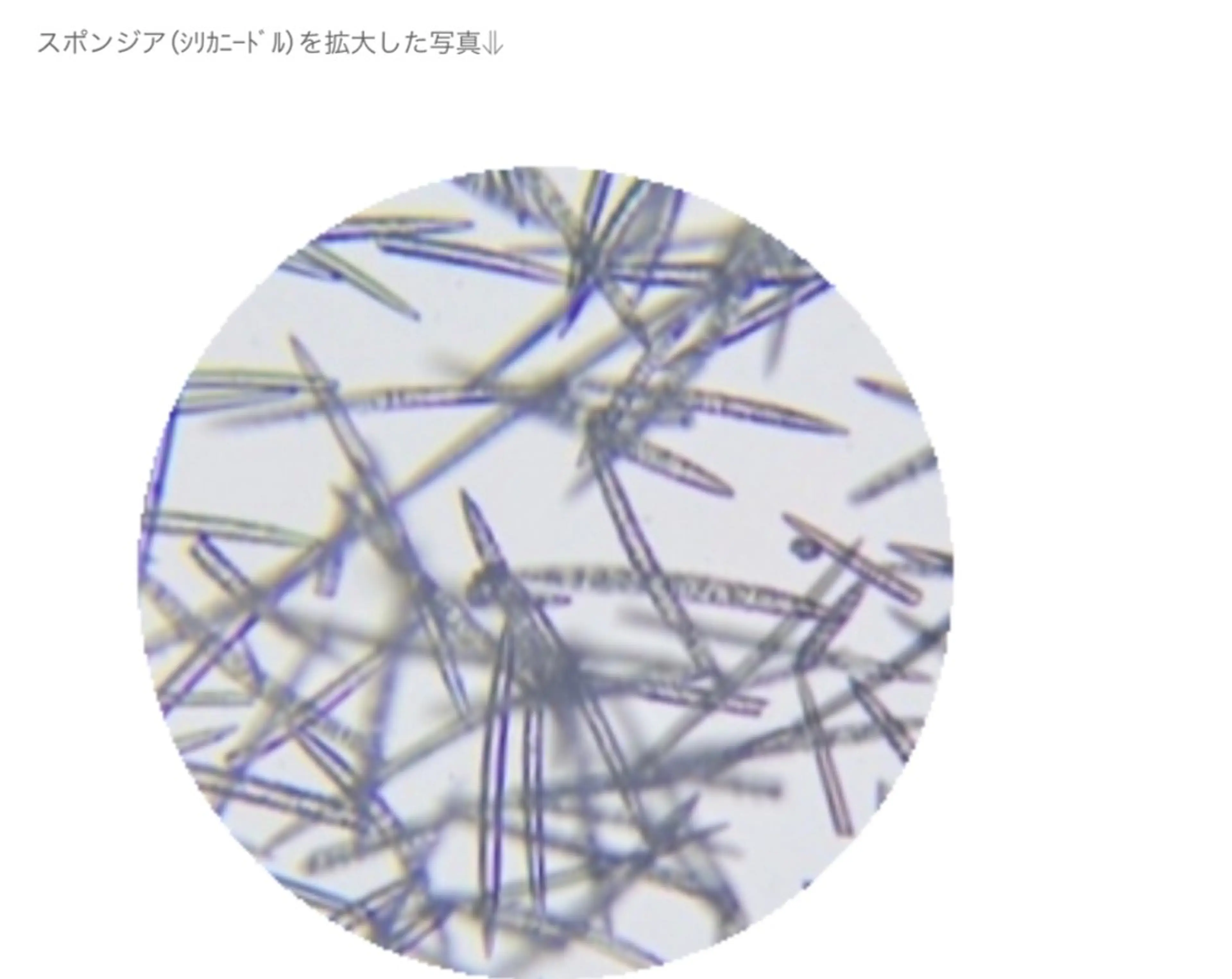 エステ ☺ハーブピール💕 ソフィアカロン💖のエステ・リラクイメージ