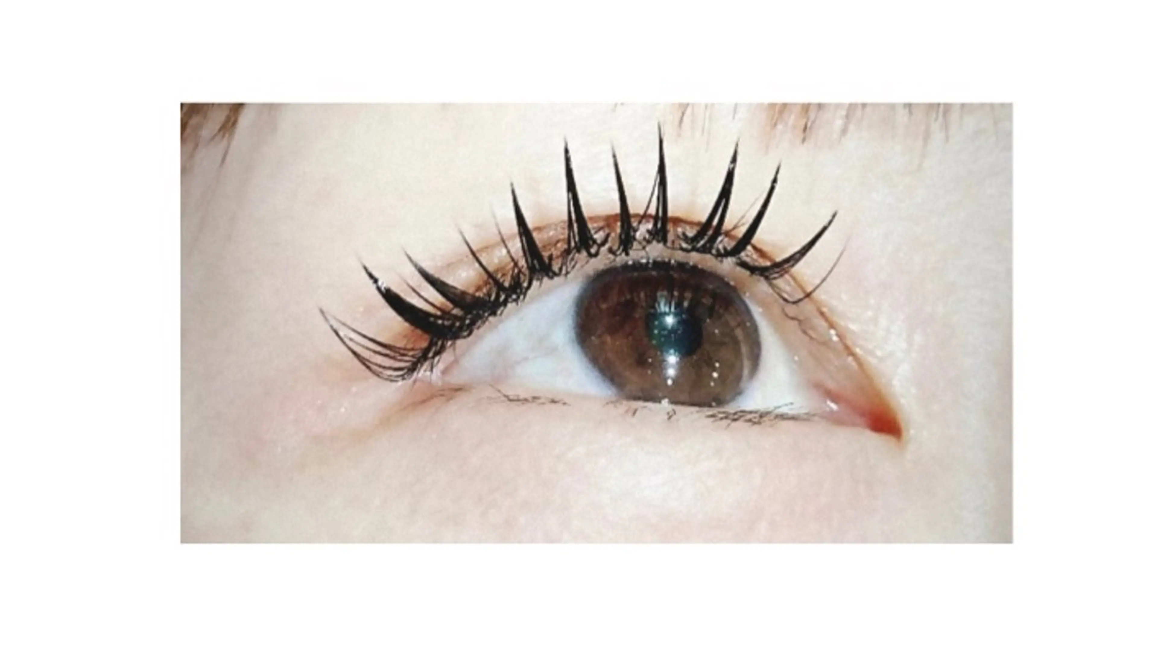 マツエク・マツパ マツエク BRISE erikaのマツエク・マツパデザイン