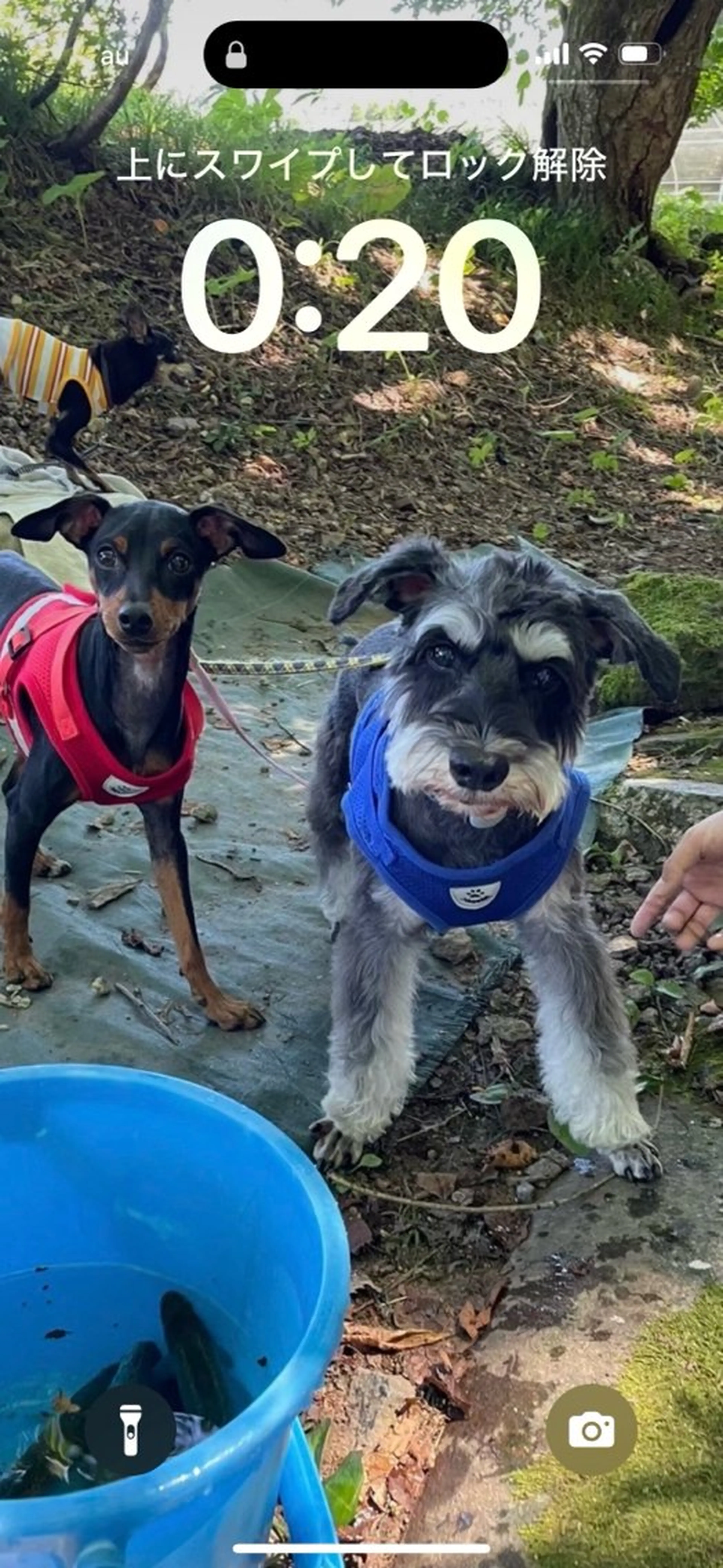 花籠 敬子のエステ・リラクイメージ
