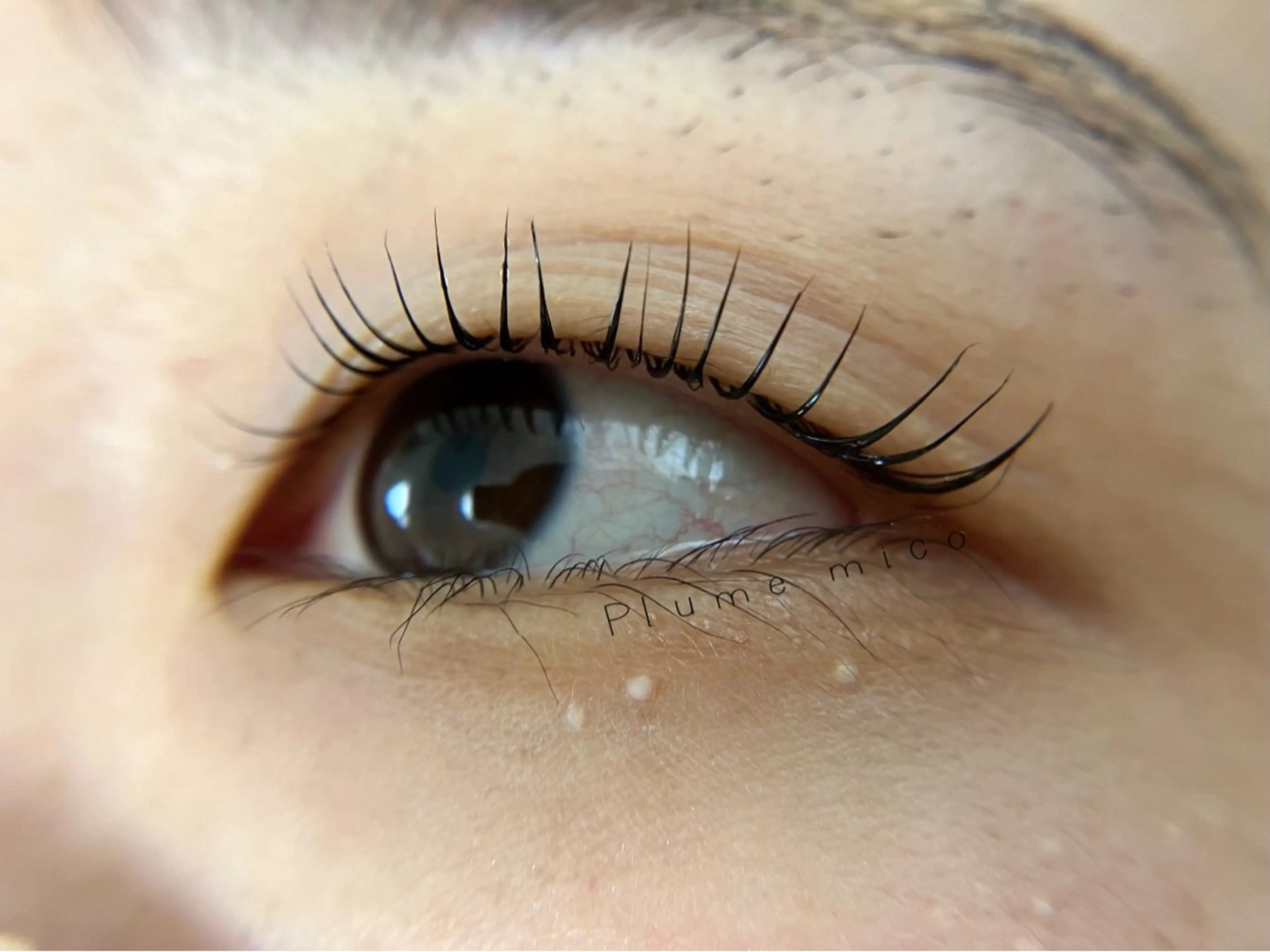 マツエク・マツパ マツパ Plume micoのマツエク・マツパデザイン