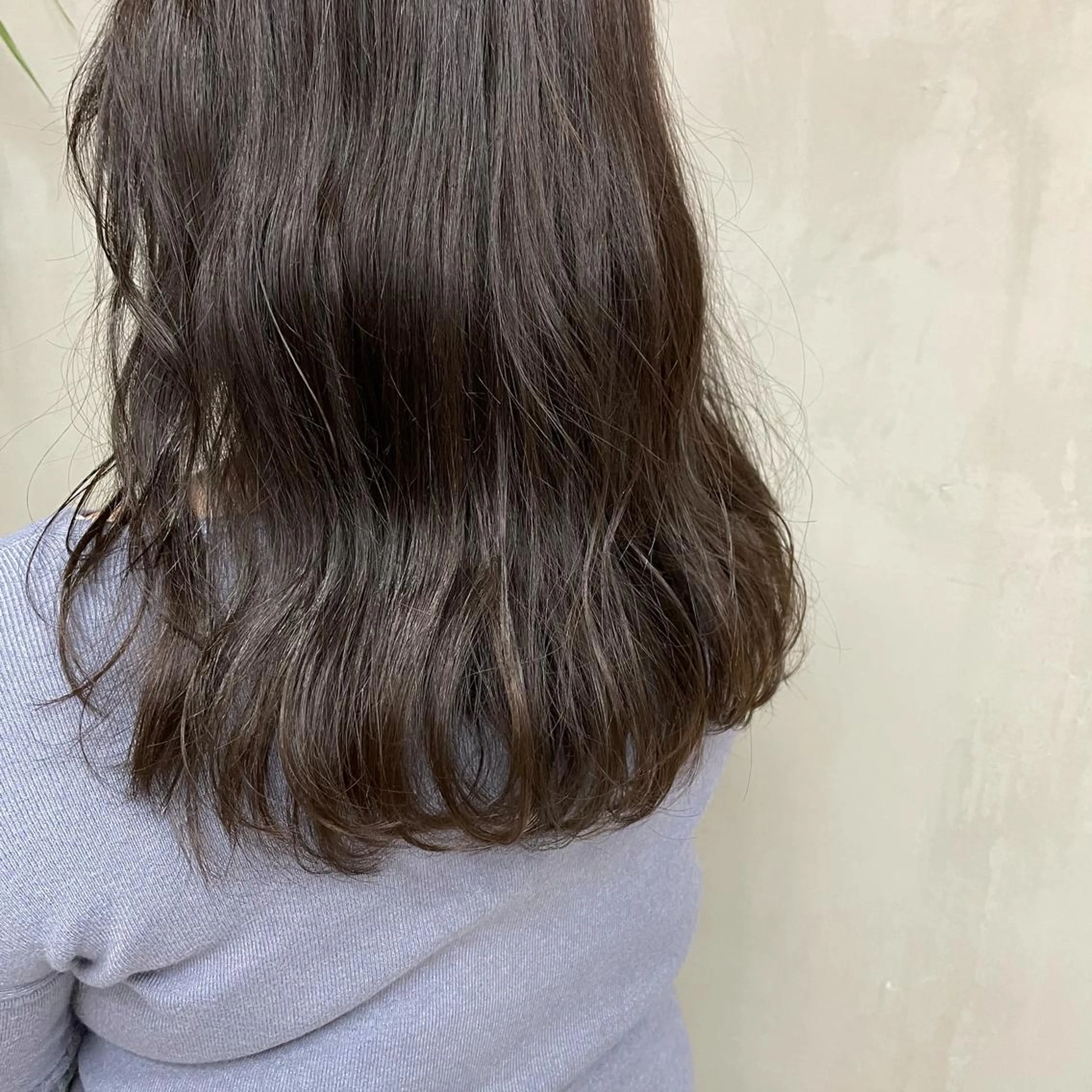 〈4月限定‼️〉カット 💇🏻 ¥0の写真