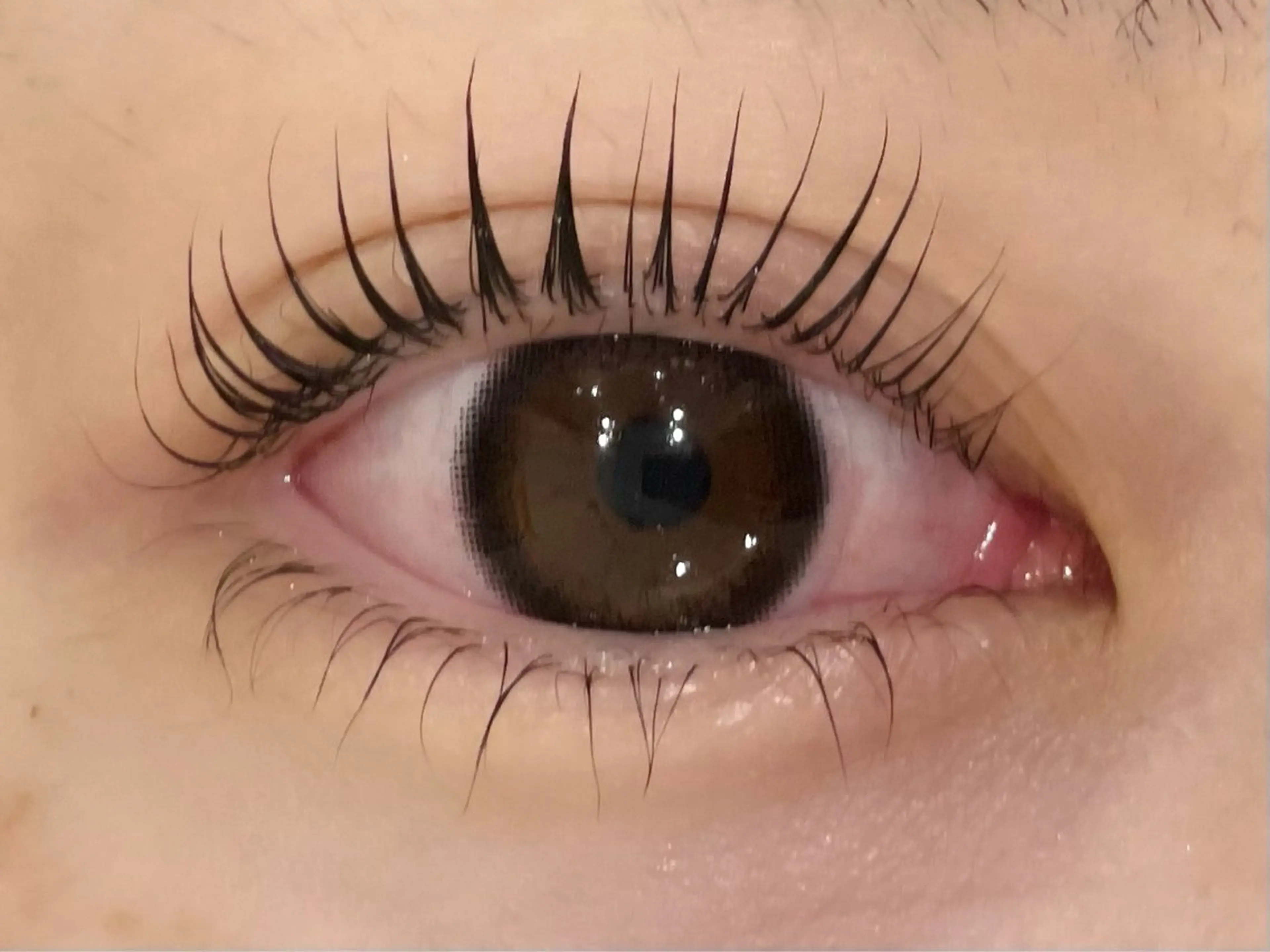 マツエク・マツパ Daisy lash 大阪駅前第3ビルのマツエク・マツパデザイン