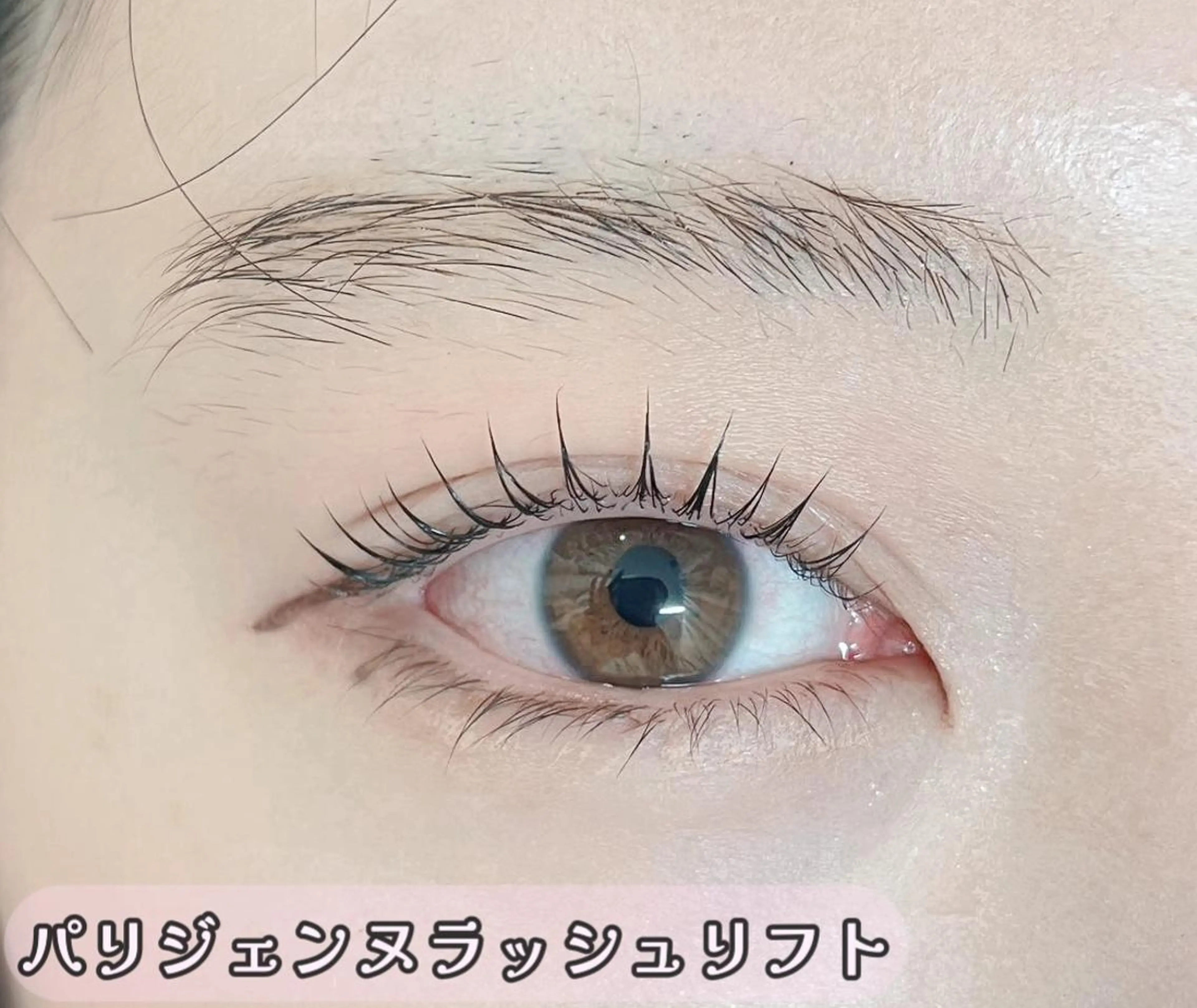 マツエク・マツパ Lash by foi新宿のマツエク・マツパデザイン