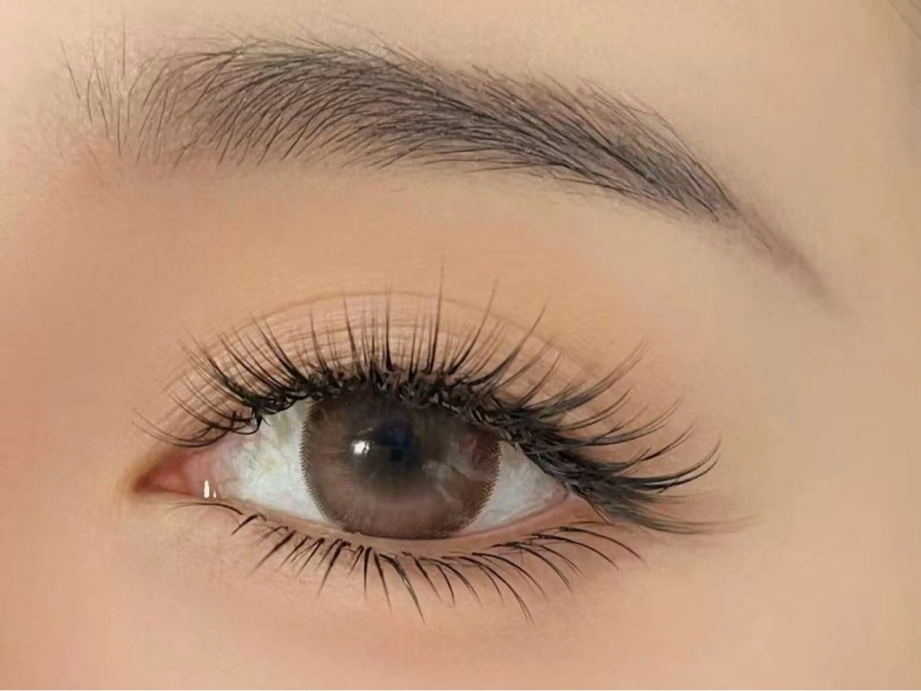 💐新人練習クーポン★💐バインドロック120束の写真