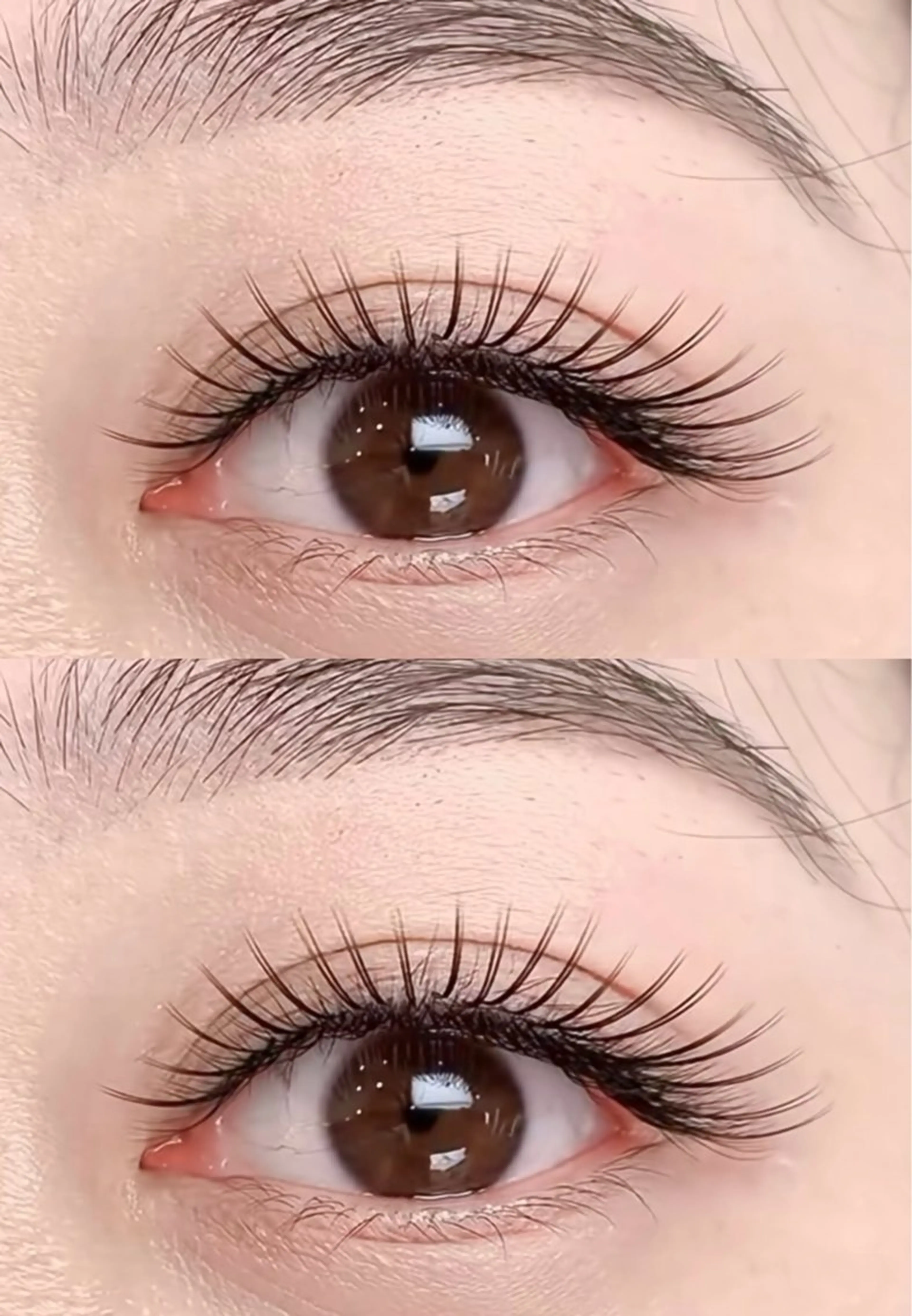 【人気NO.1】🍒束感ダプルフラットラッシユ100束(200本)💫の写真