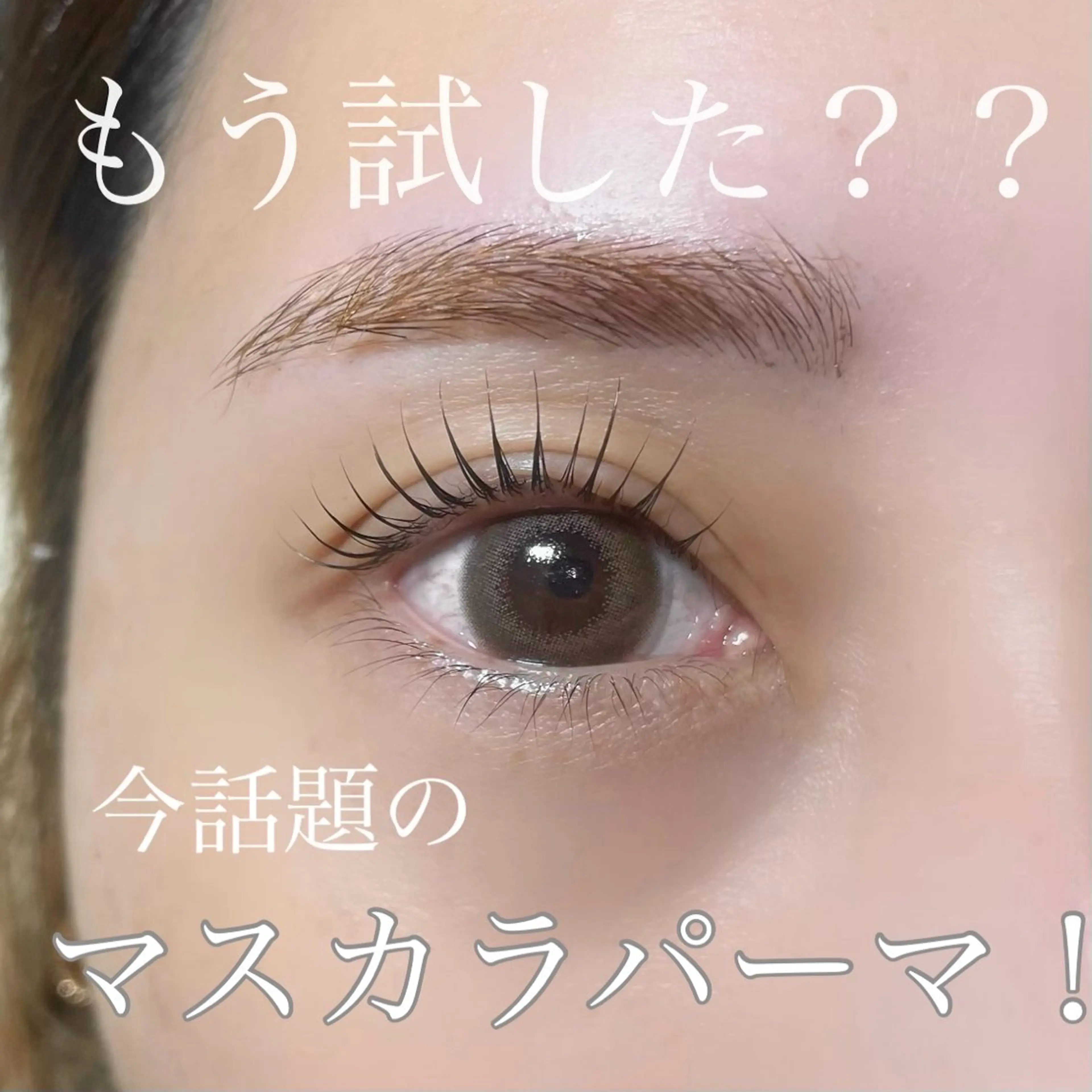 ラッシュリフト(美容成分たっぷりコーティング付き🌟)の写真