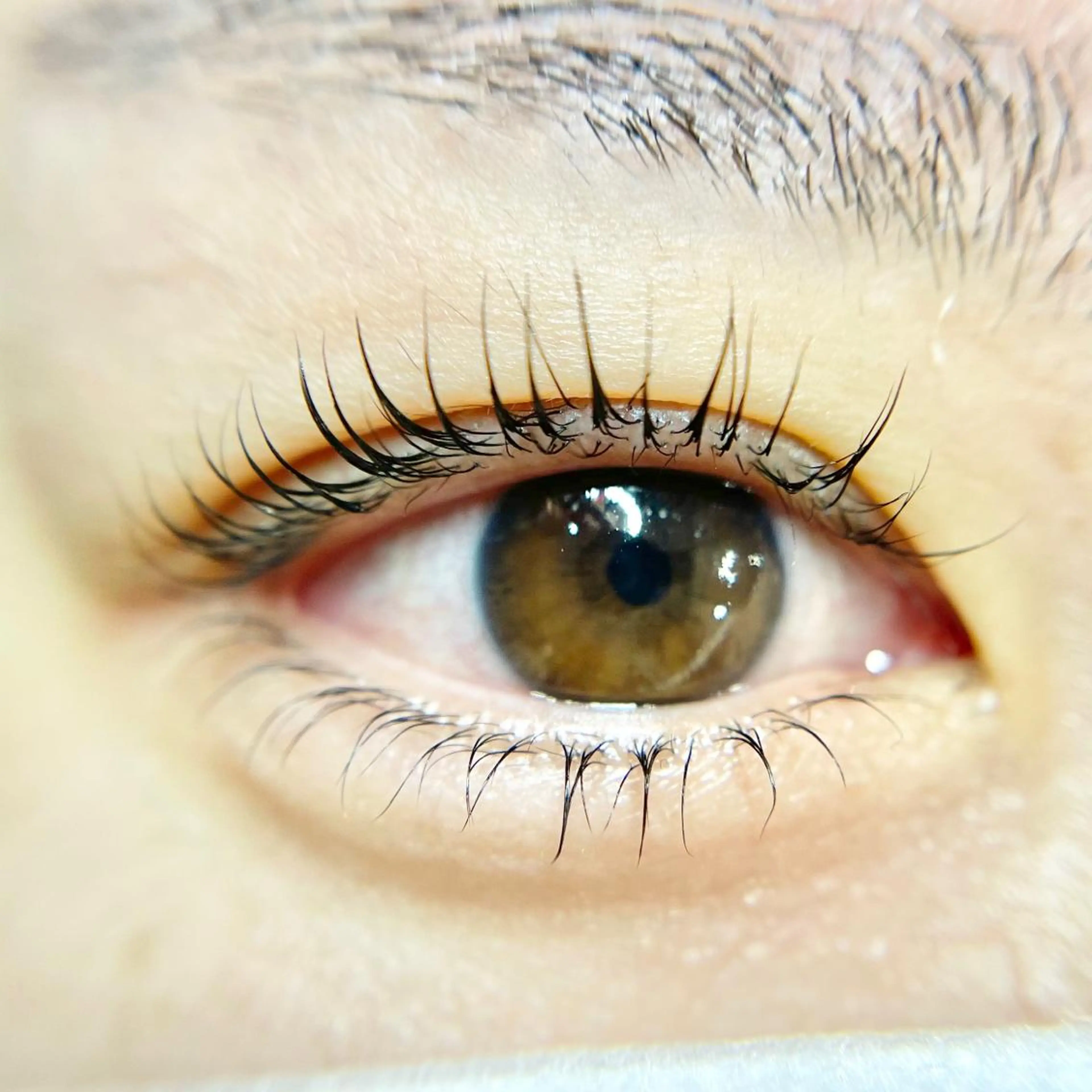 マツエク・マツパ 下まつげエクステ RaumChouChou所属・齋 藤のマツエク・マツパデザイン