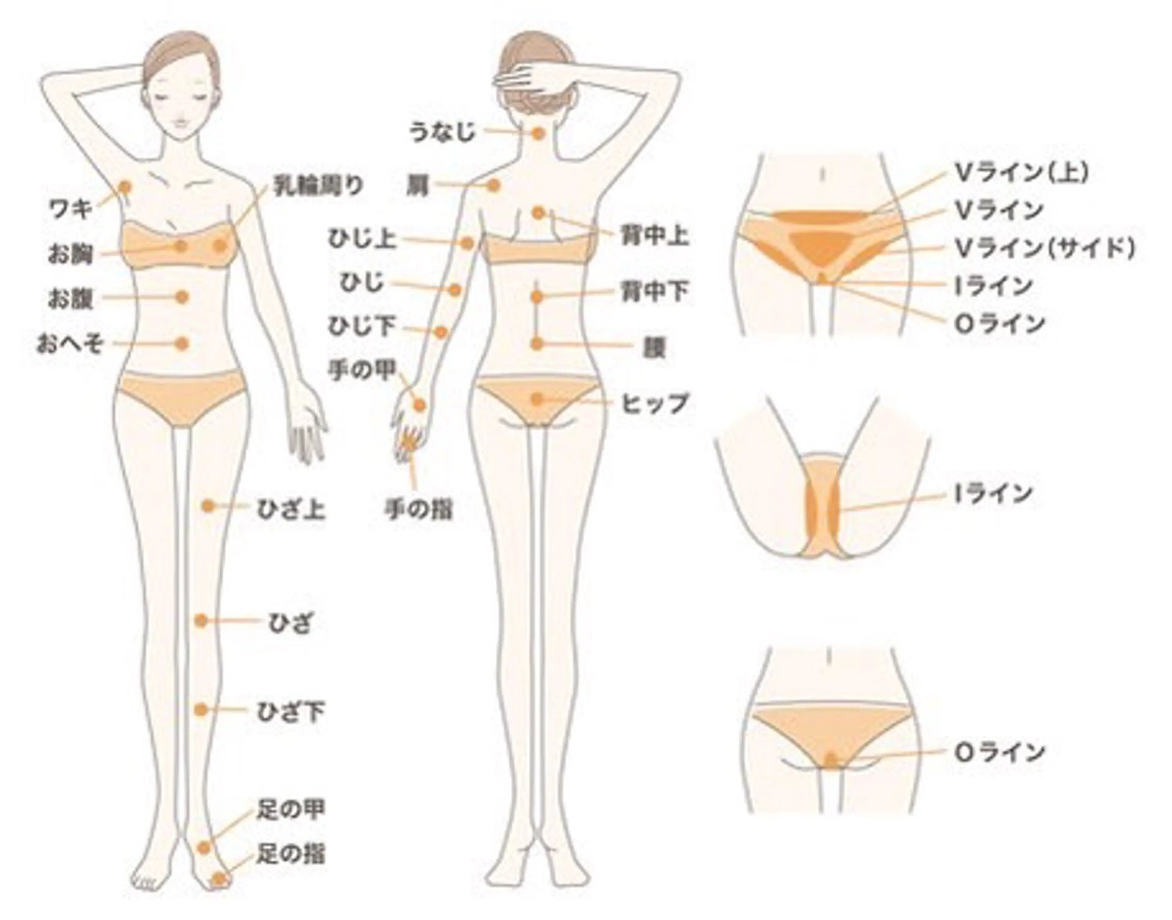 Noguchi staffのエステ・リラクイメージ