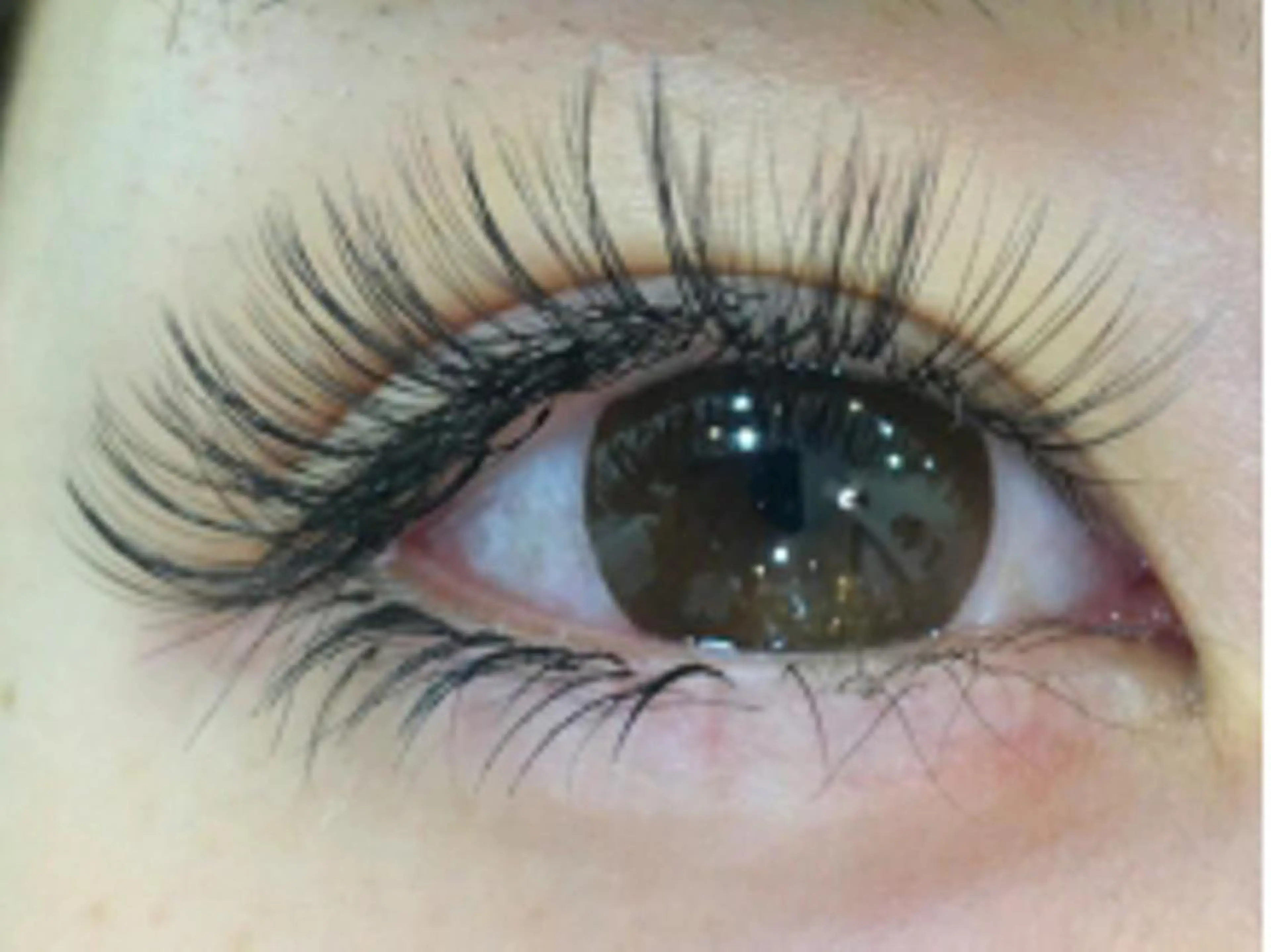 マツエク・マツパ ボリュームラッシュ mao lash所属・mao lashのマツエク・マツパデザイン