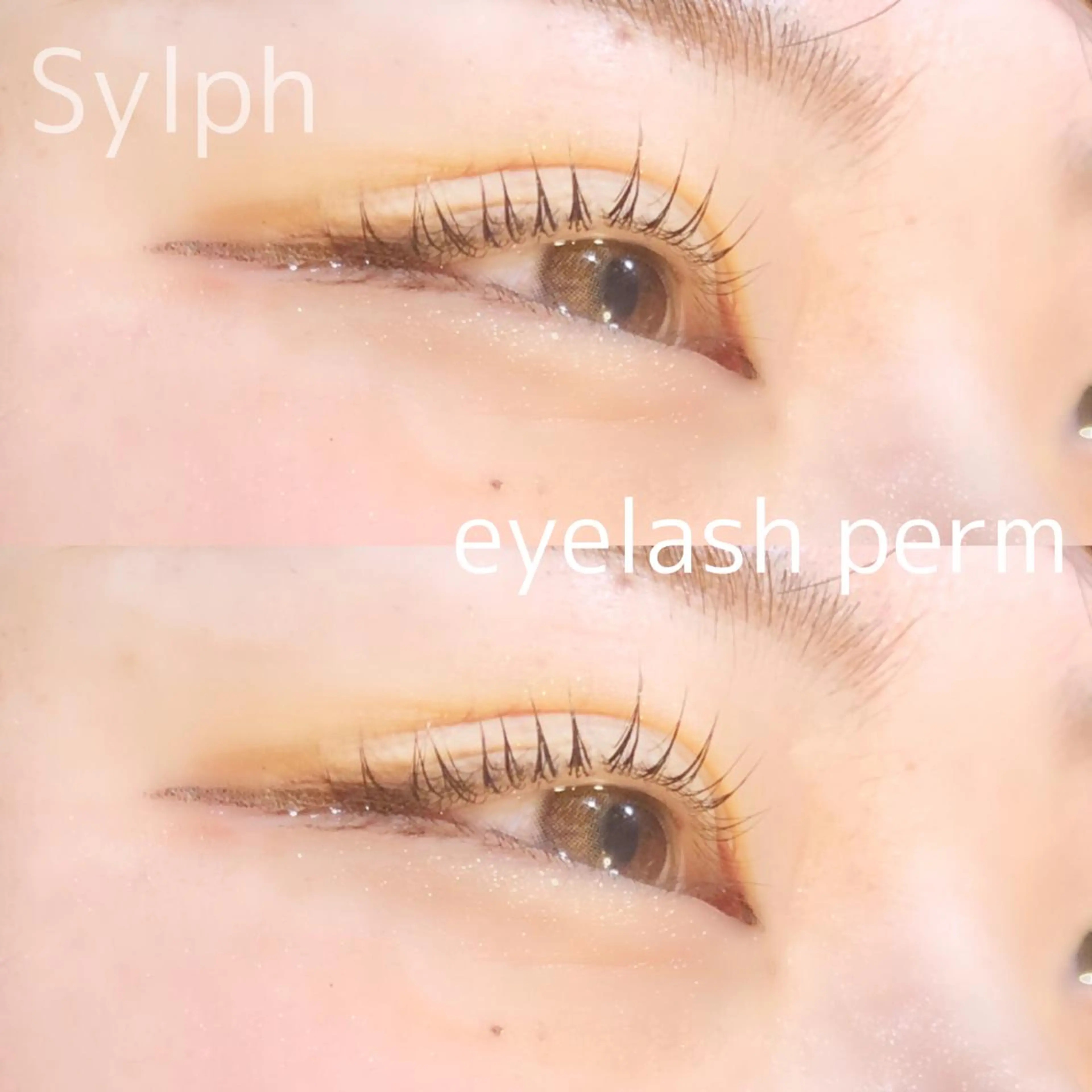 マツエク・マツパ 藤田 彩音のヘアスタイル