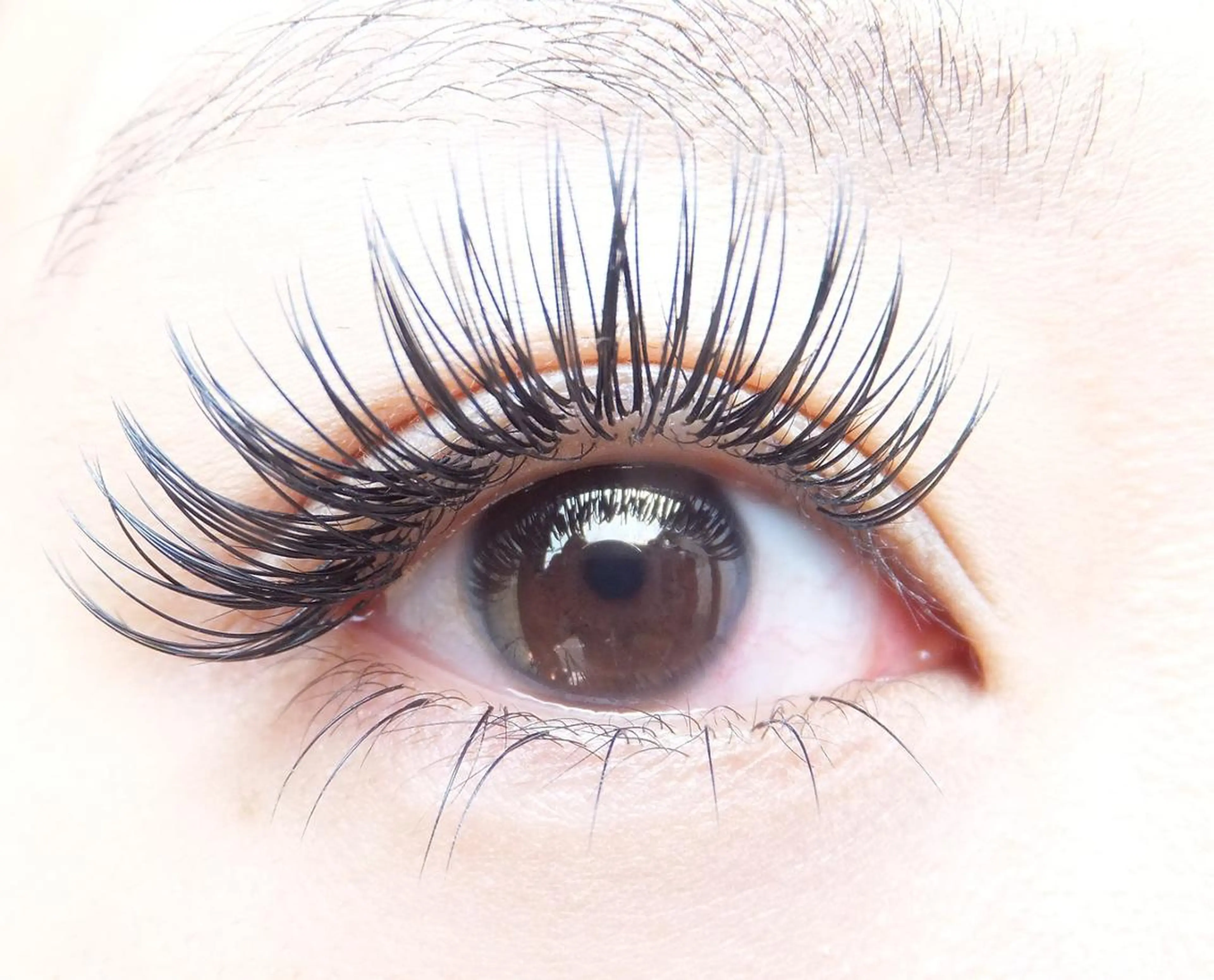 オフ込セーブルエクステ150本の写真