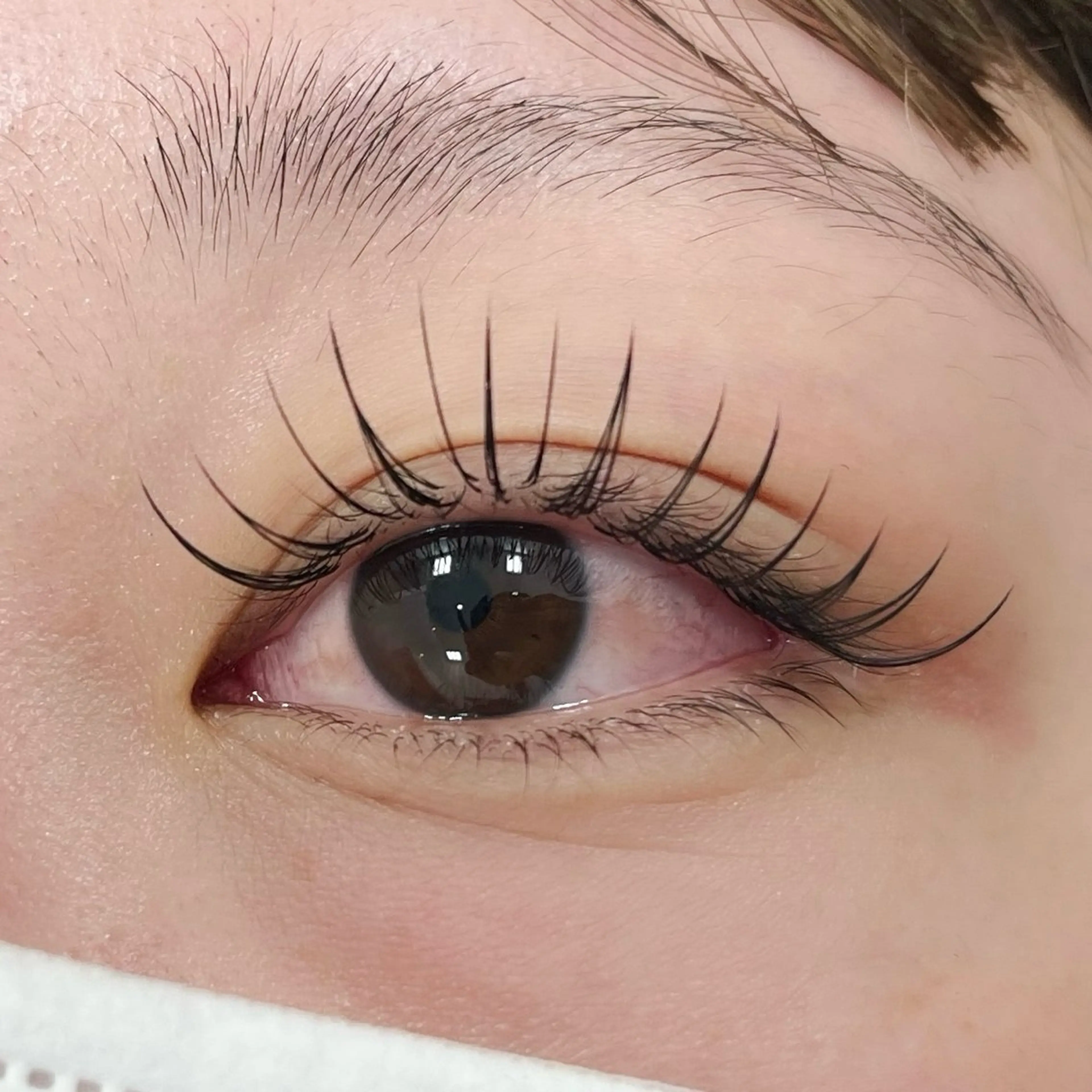 LEDフラットラッシュ100本🍑(オフ、コーティング込み)の写真