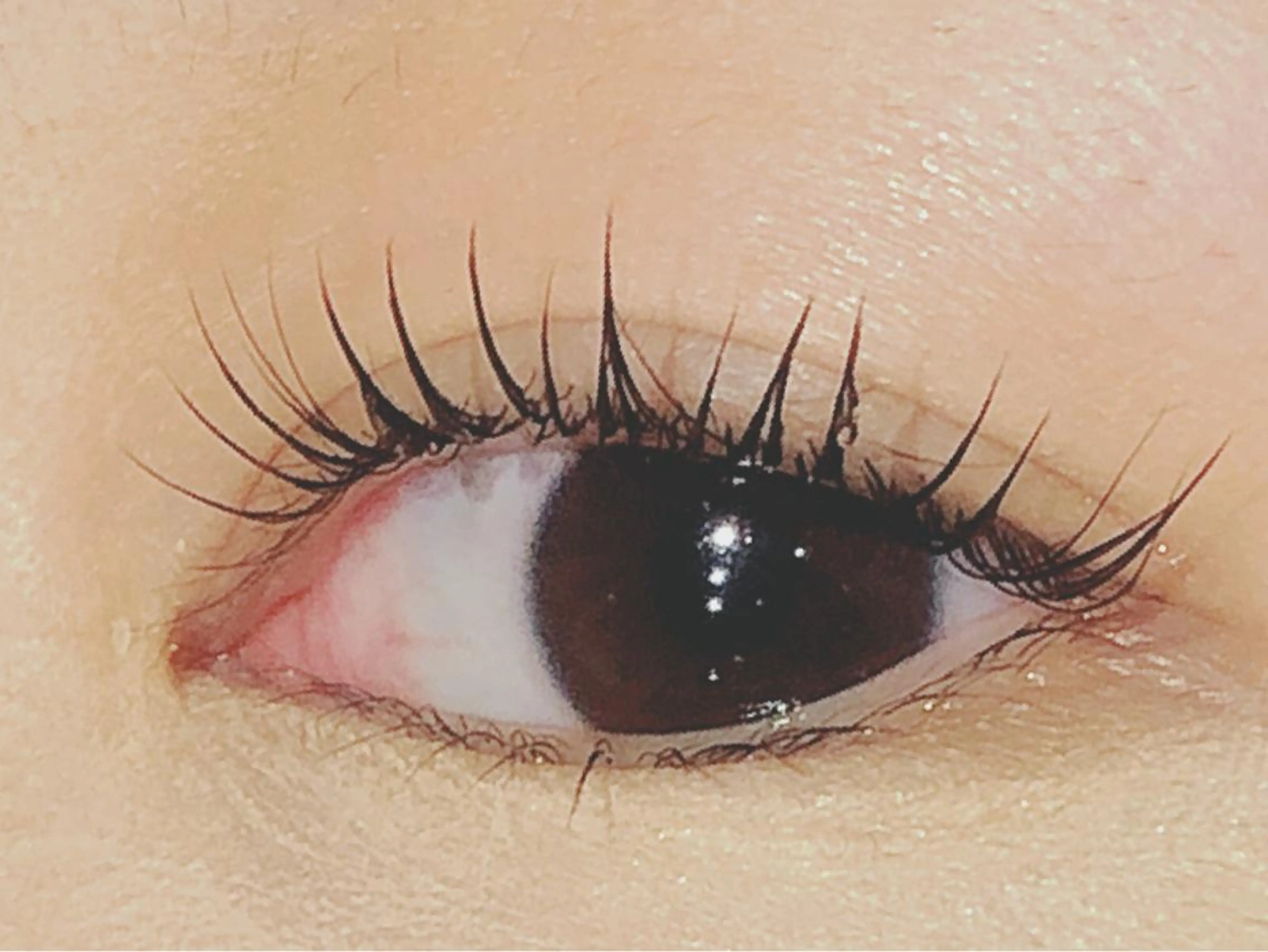 マツエク・マツパ パリジェンヌラッシュリフト 和田 真弥の眉毛・アイブロウイメージ