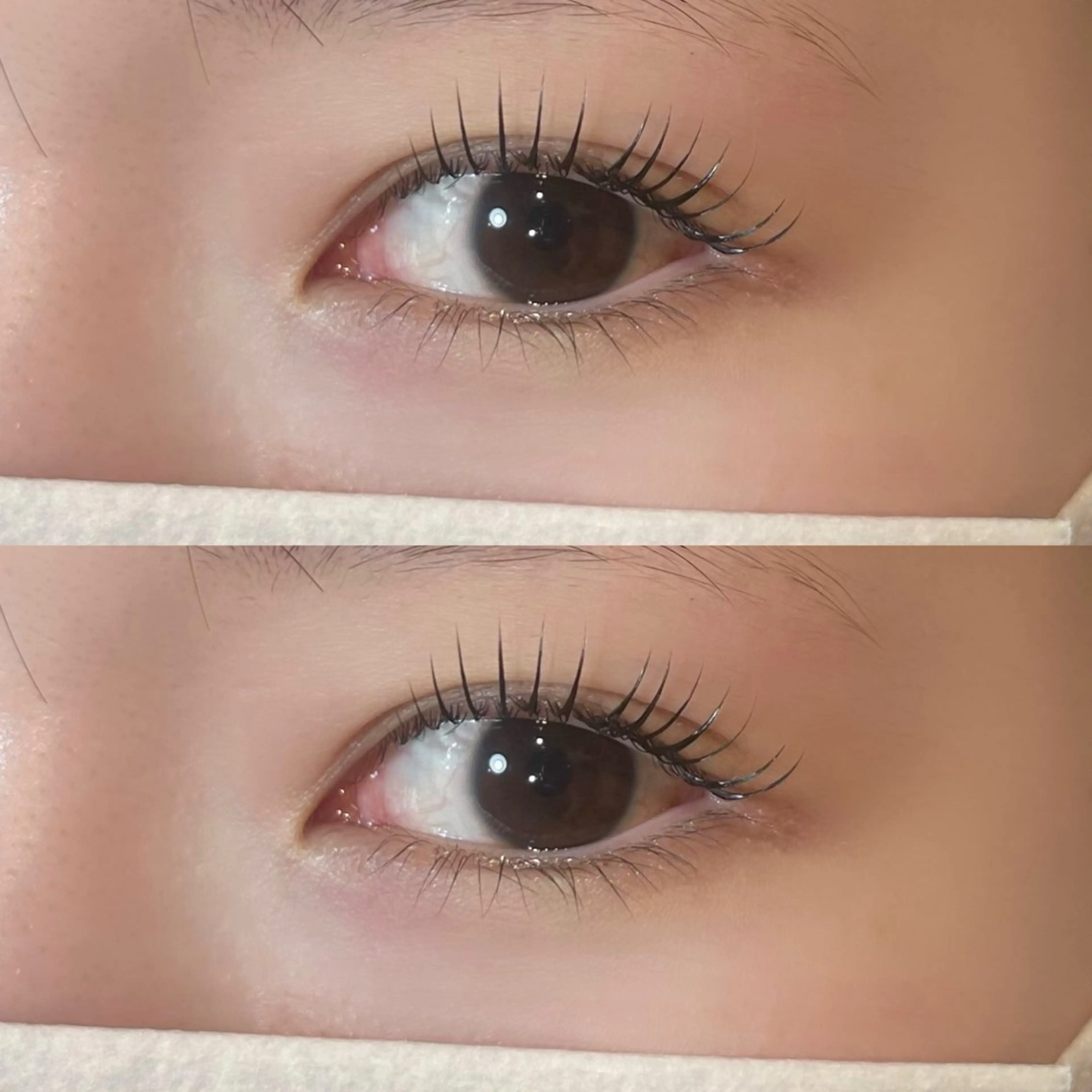 マツエク・マツパ 𝒆𝒊𝒈𝒉𝒕 杏花のマツエク・マツパデザイン