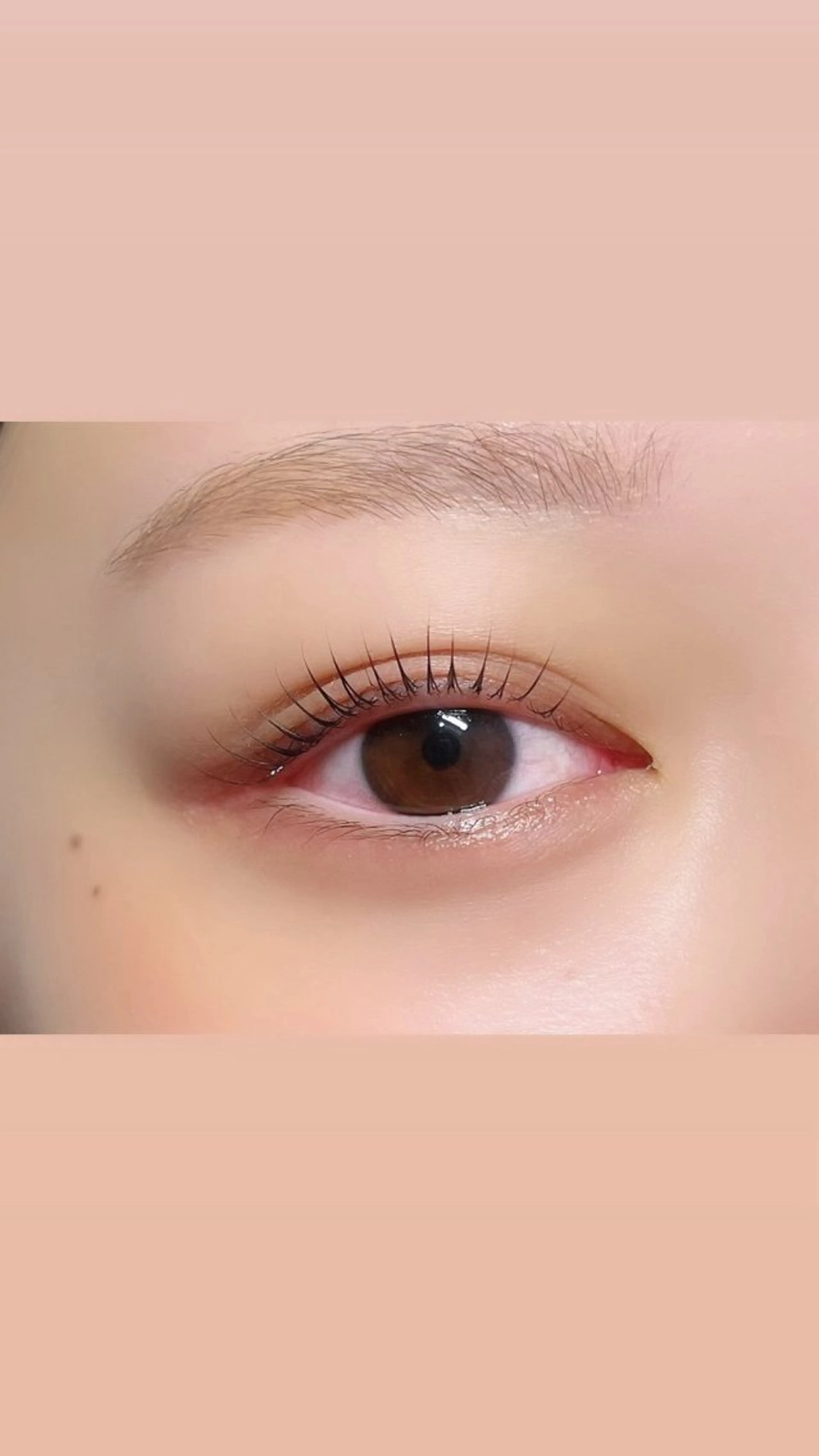 マツエク・マツパ マツパ 𓂃◌𓈒𓐍 shioriの眉毛・アイブロウイメージ