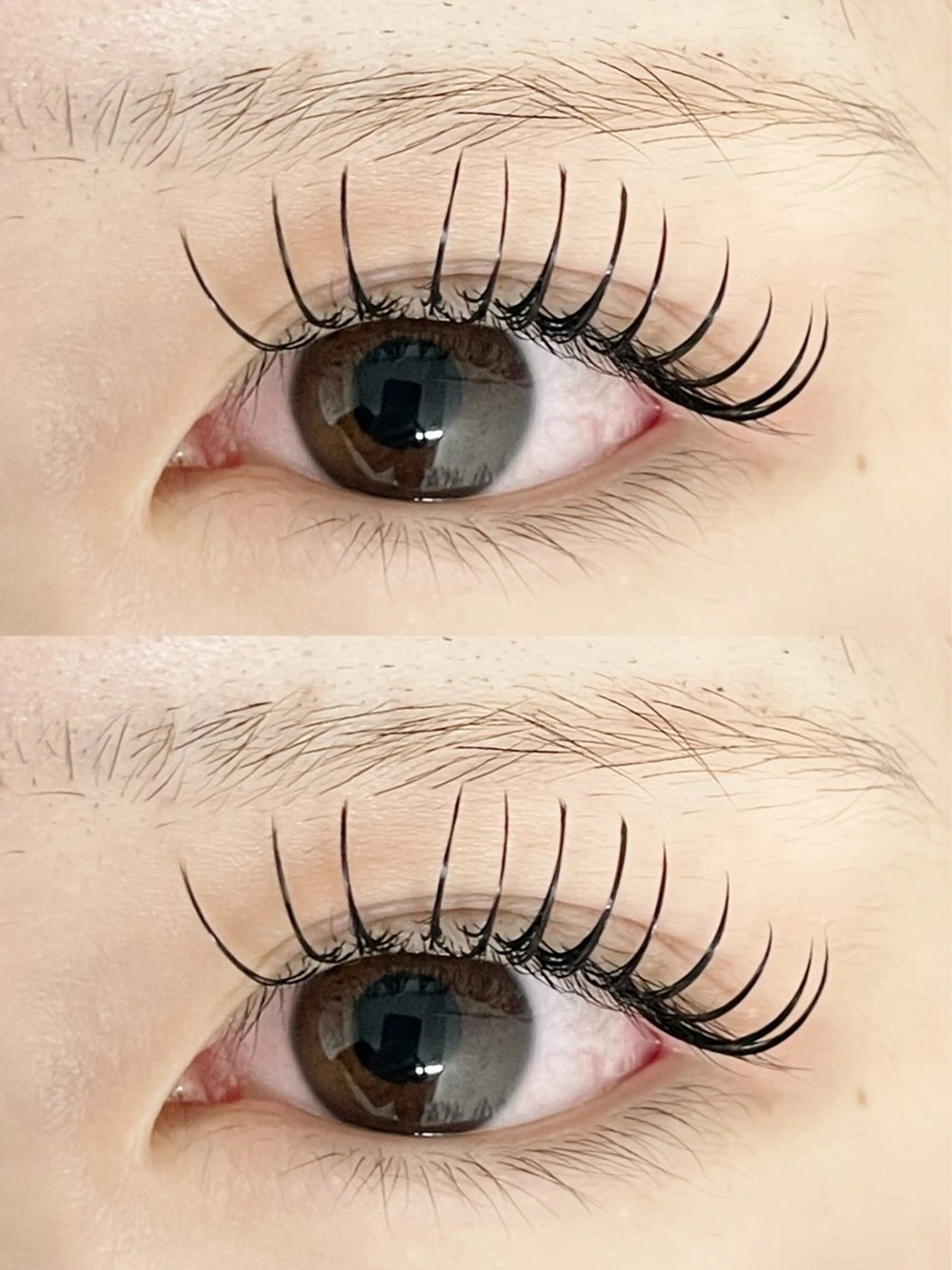 プレオープン記念価格💡エクステ　フラットラッシュ120本　オフ込みの写真